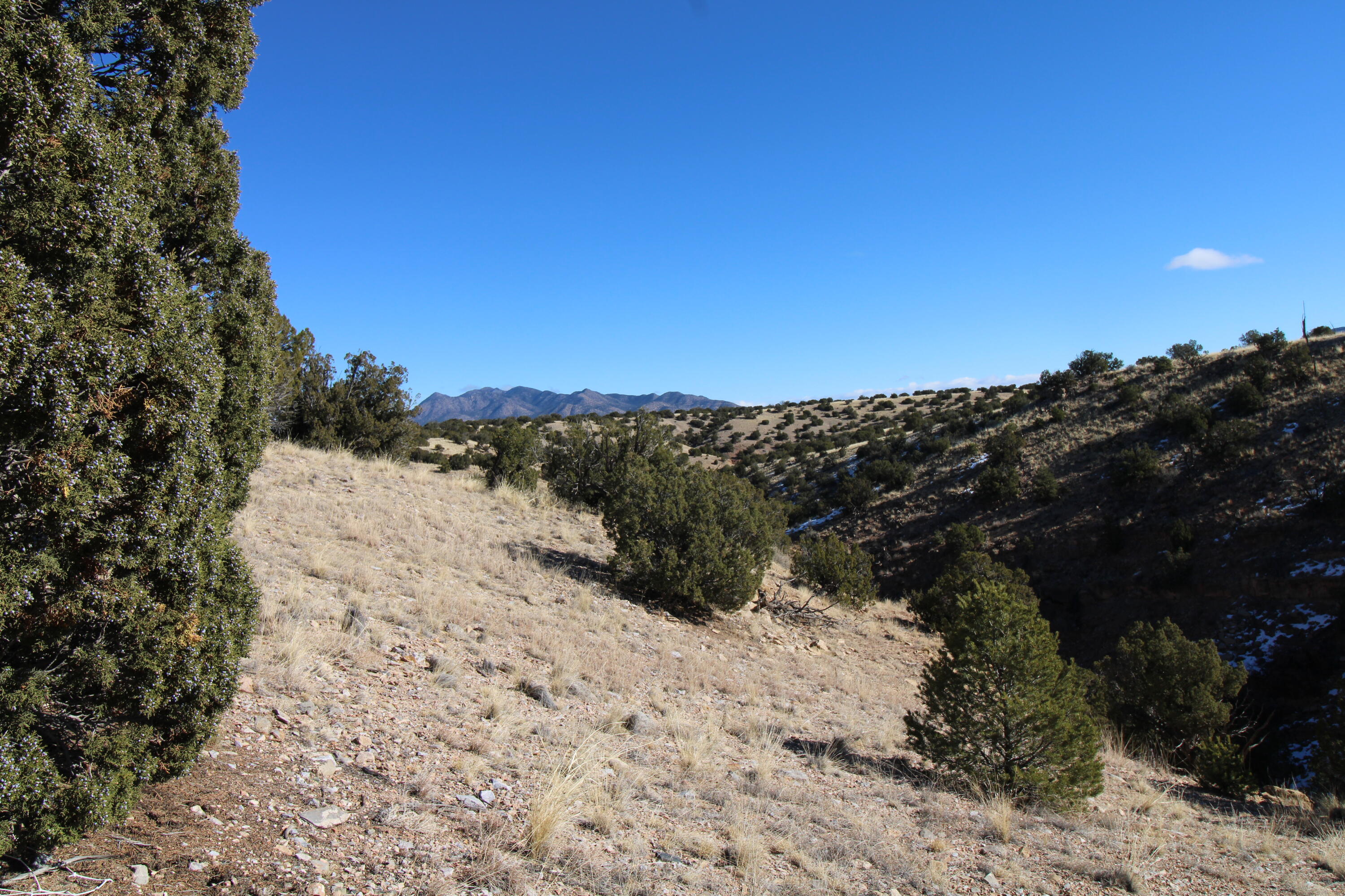 105 Acres Demetrio Road, Sandia Park, New Mexico image 11