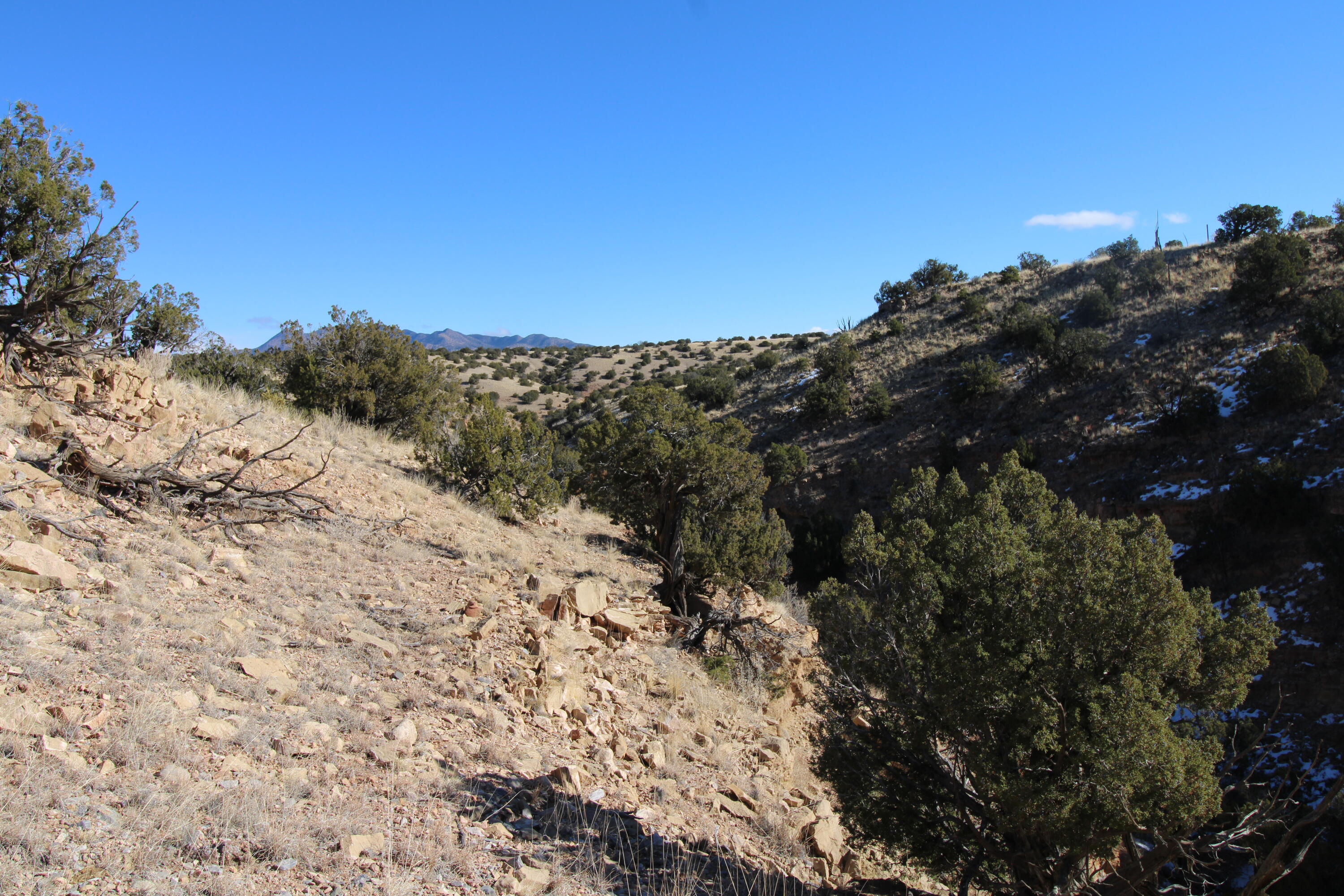 105 Acres Demetrio Road, Sandia Park, New Mexico image 10