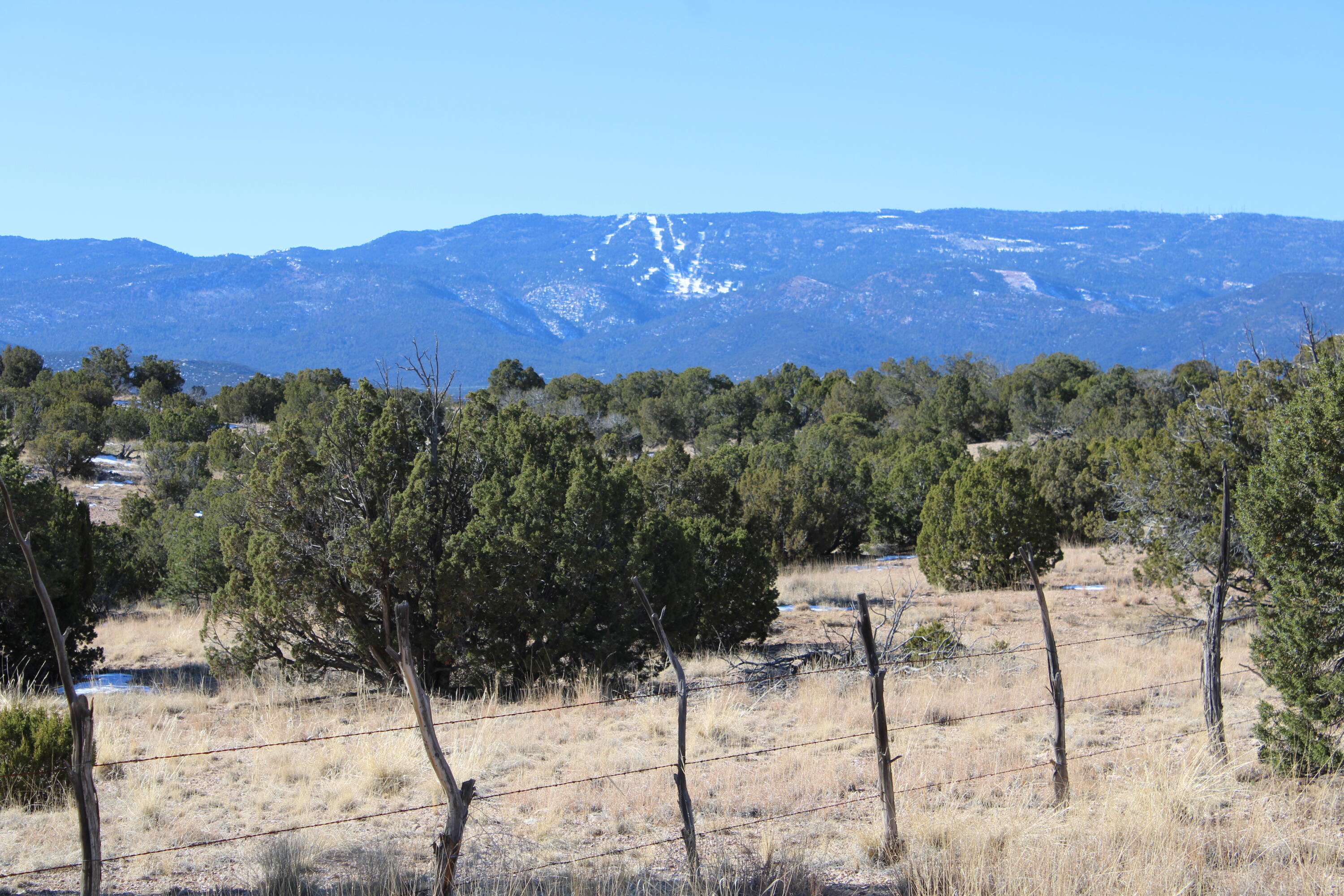 105 Acres Demetrio Road, Sandia Park, New Mexico image 13