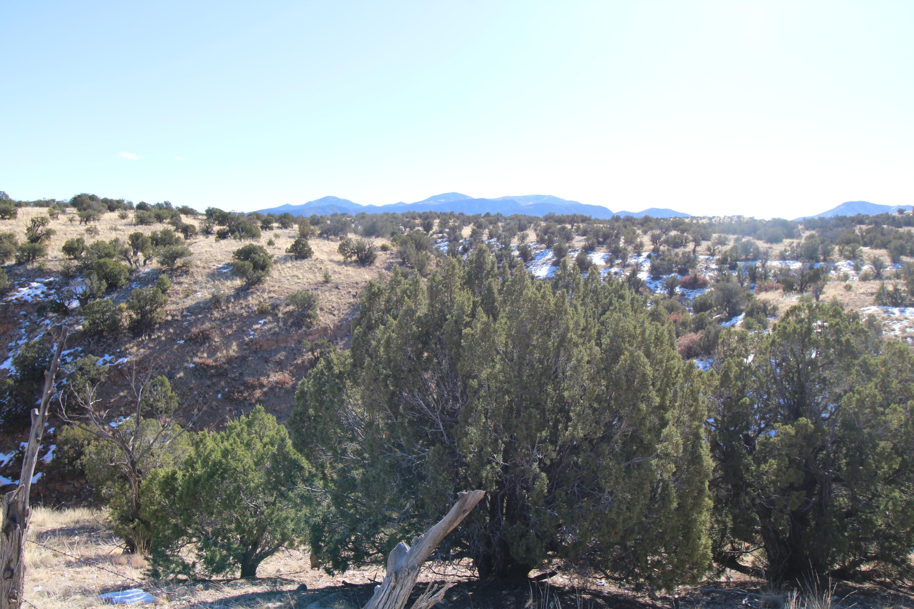 105 Acres Demetrio Road, Sandia Park, New Mexico image 12