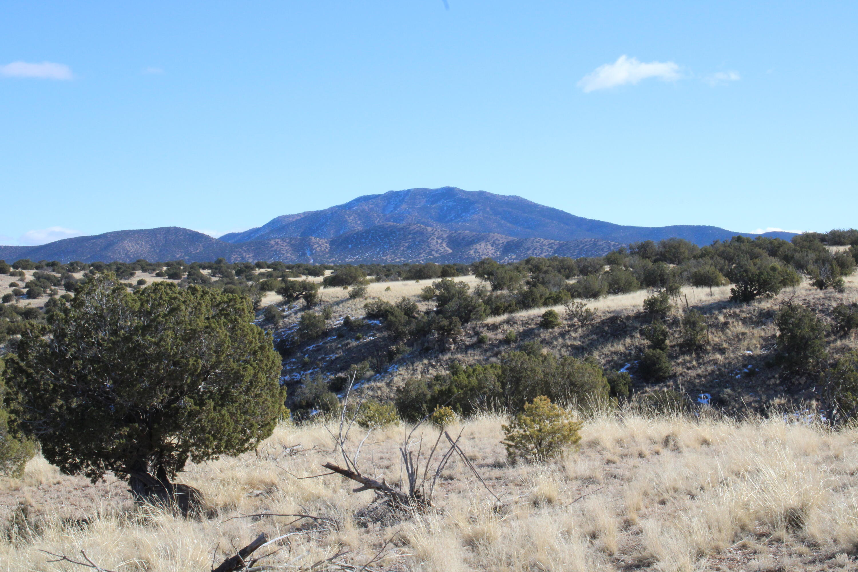 105 Acres Demetrio Road, Sandia Park, New Mexico image 15