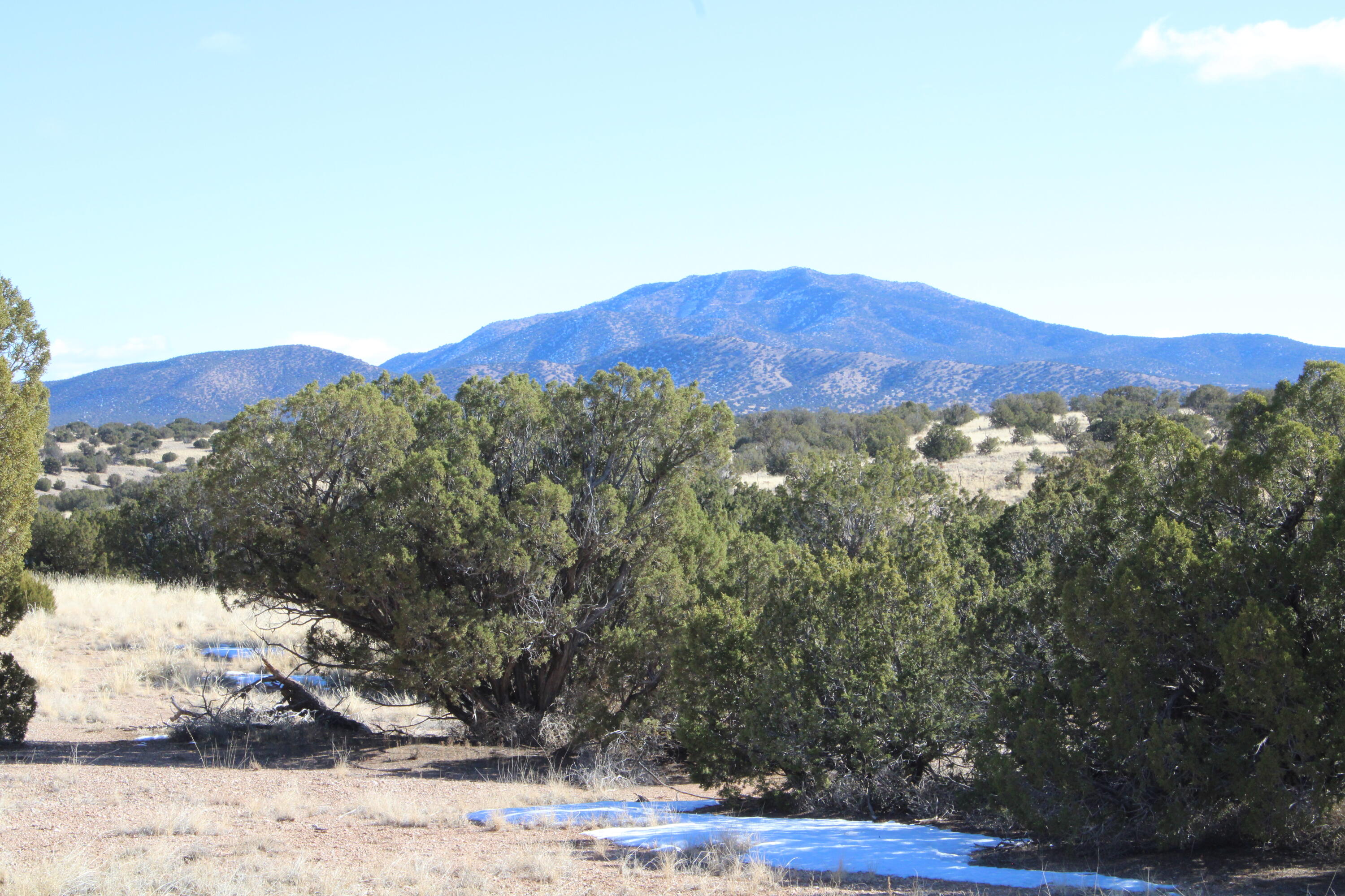 105 Acres Demetrio Road, Sandia Park, New Mexico image 3