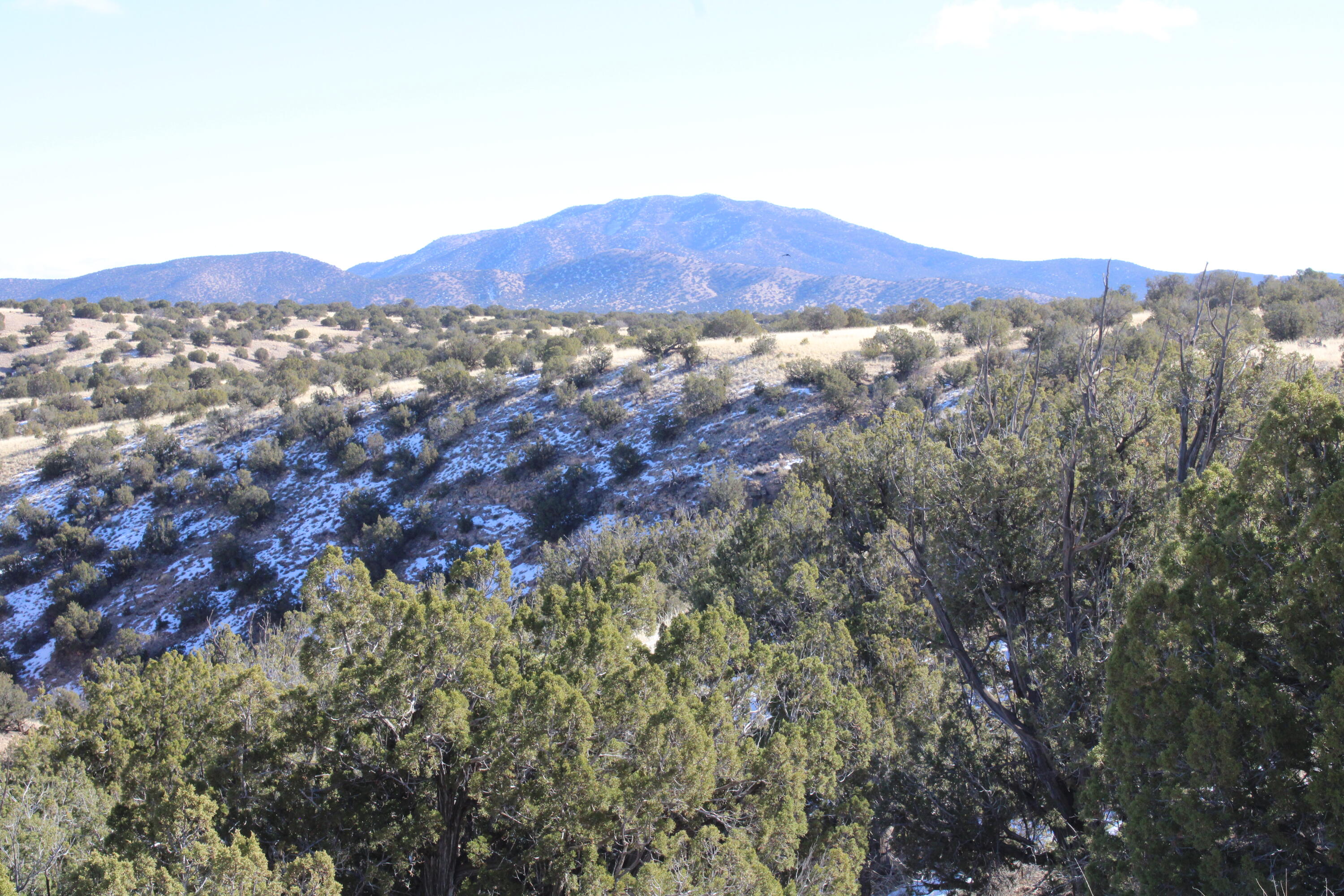 105 Acres Demetrio Road, Sandia Park, New Mexico image 16