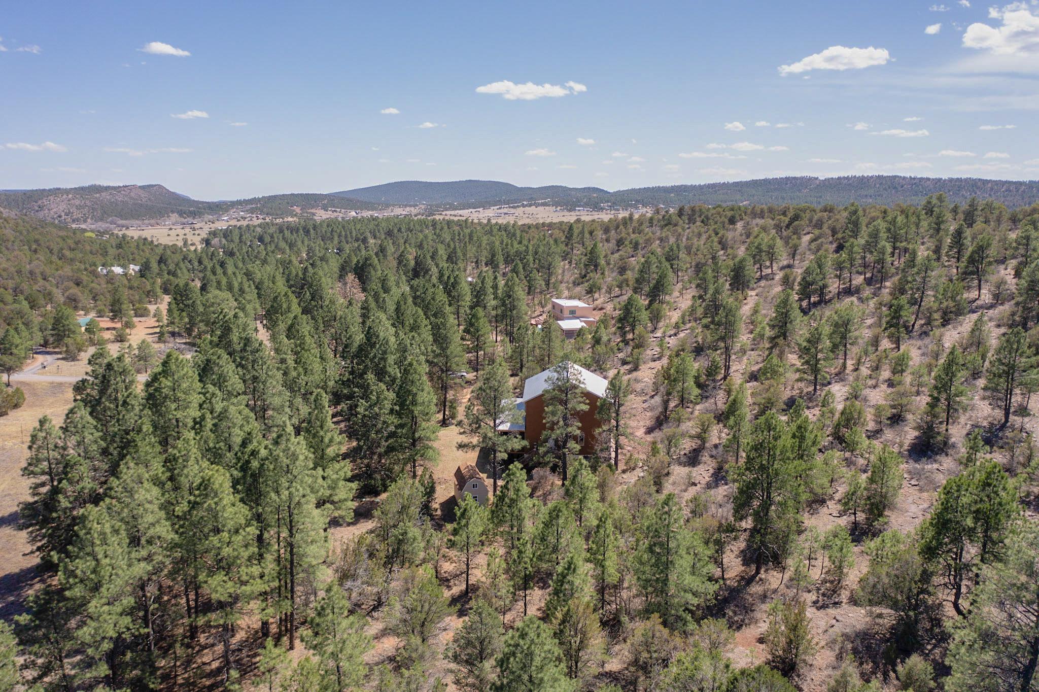 75 Roadrunner Road, Las Vegas, New Mexico image 47