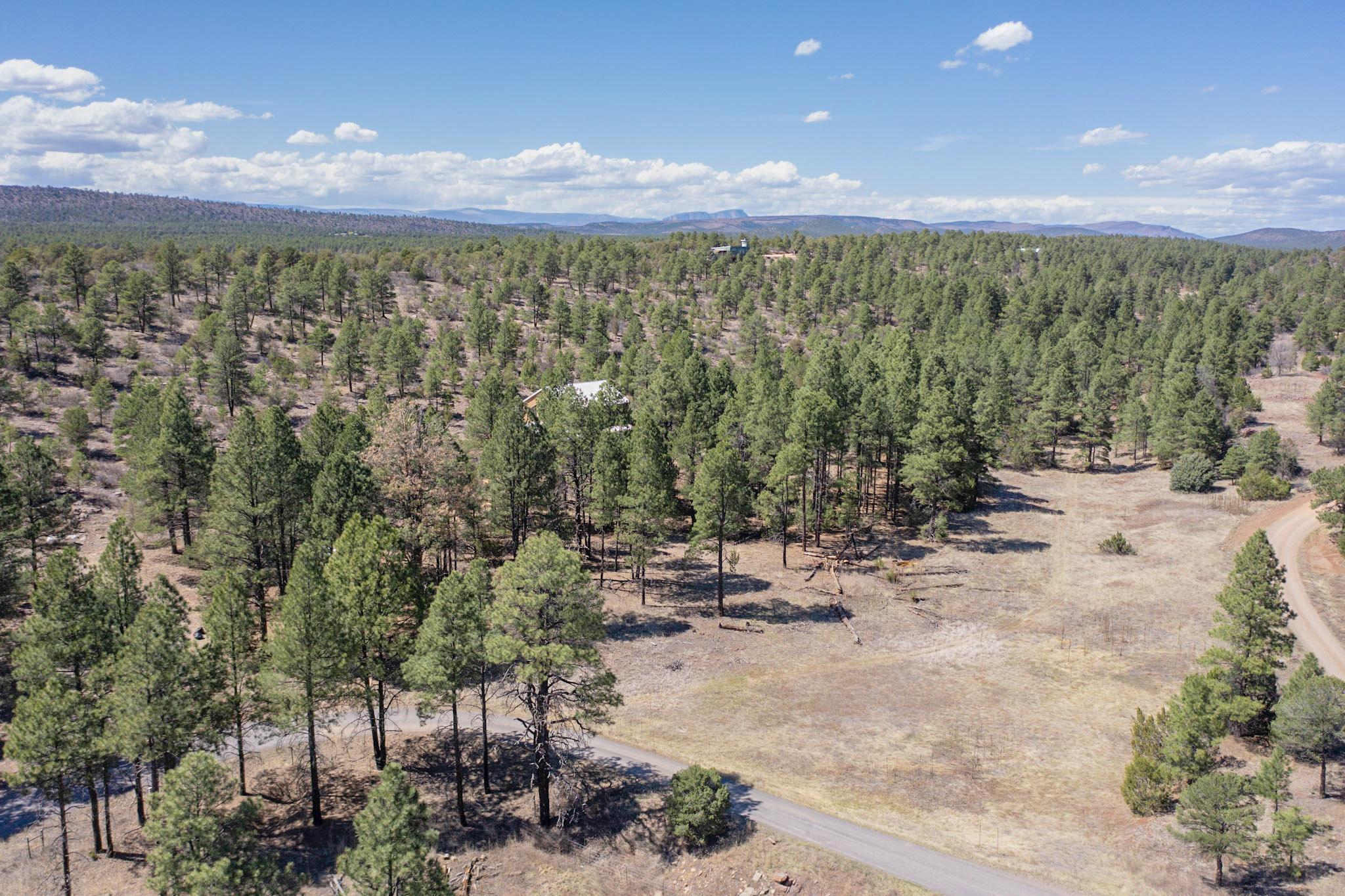 75 Roadrunner Road, Las Vegas, New Mexico image 43