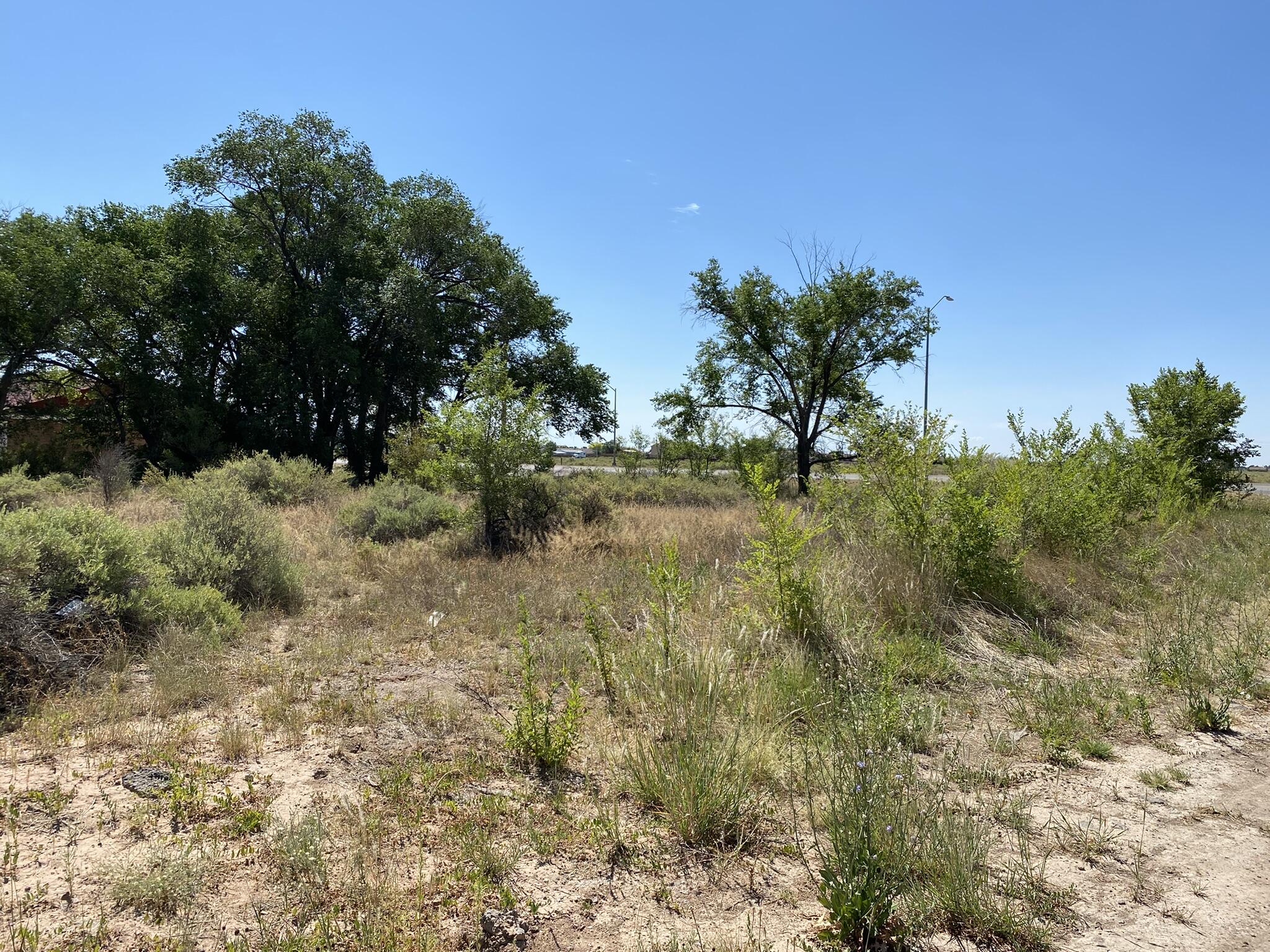 Irene Lot 33 Avenue, Moriarty, New Mexico image 3