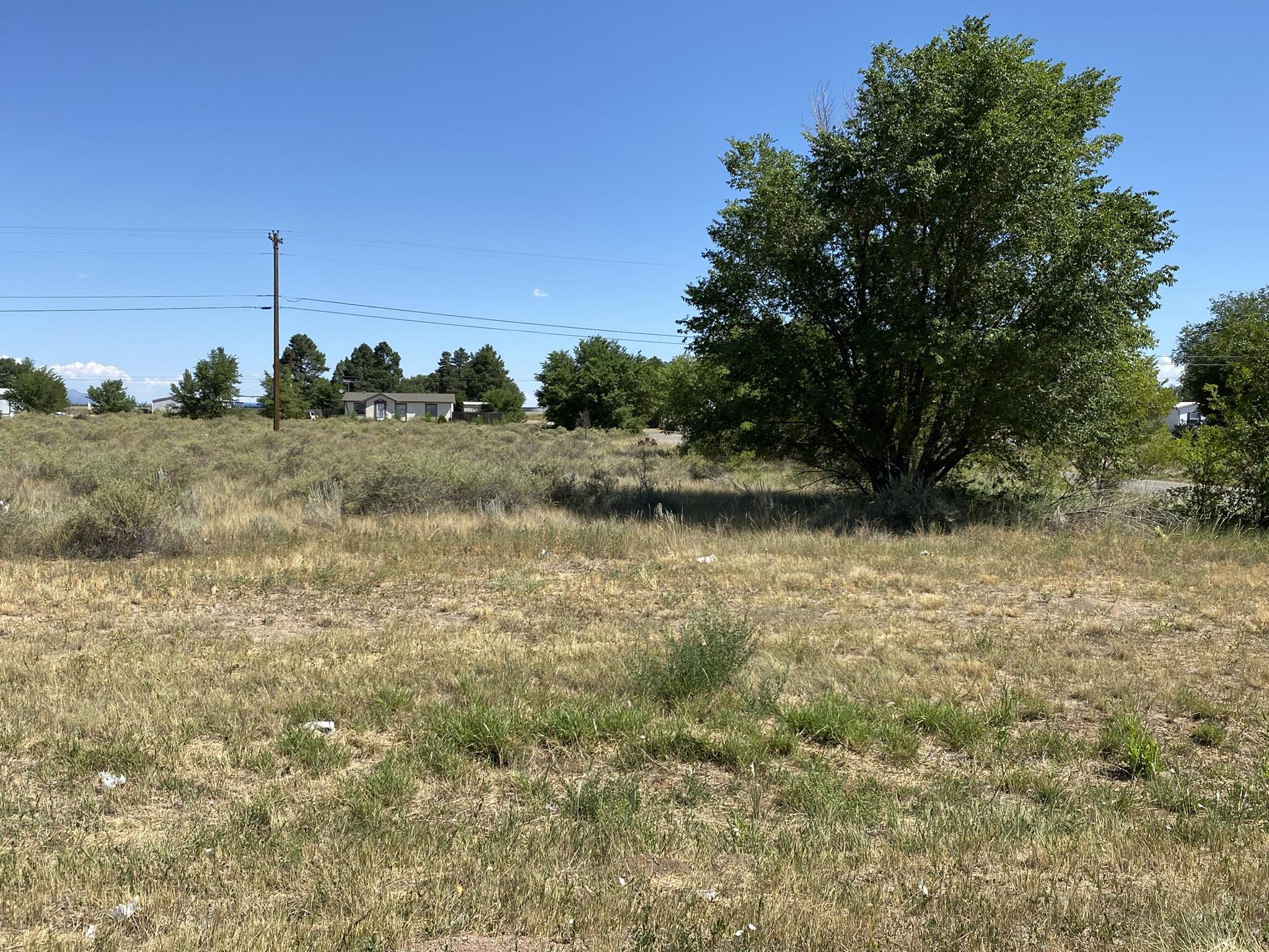 Irene Lot 33 Avenue, Moriarty, New Mexico image 1