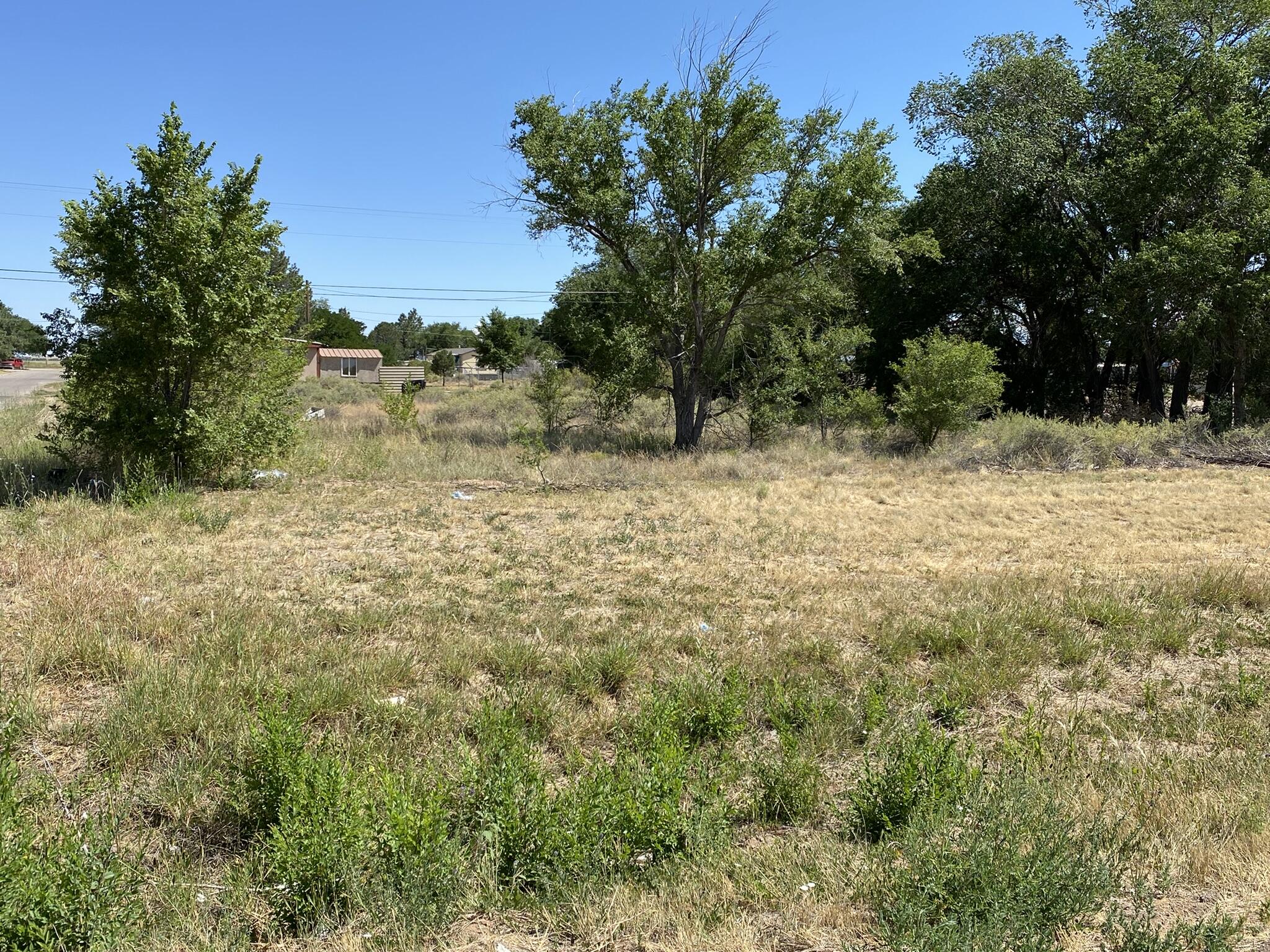 Irene Lot 33 Avenue, Moriarty, New Mexico image 2