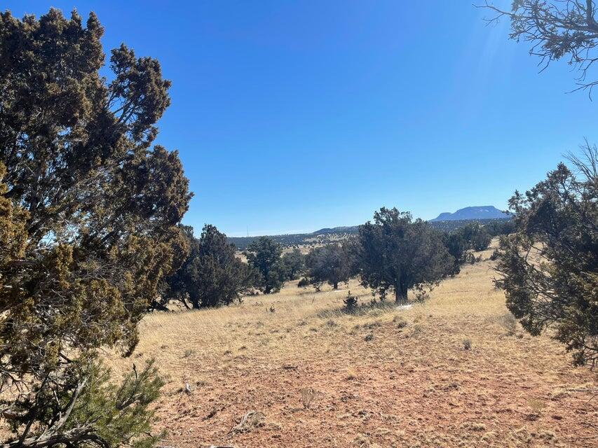 319 Hwy 603, Pie Town, New Mexico image 2