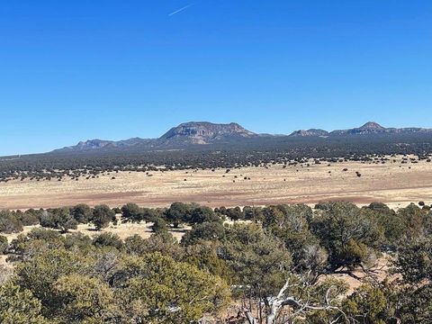 Vacant Land For Sale - 319 Hwy 603<br/> Catron County, Pie Town, NM 87827