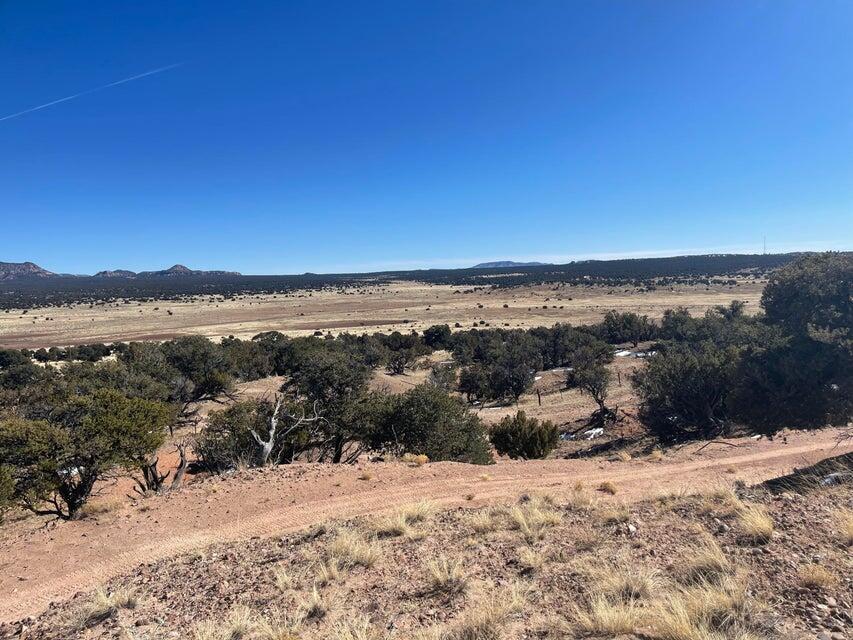 319 Hwy 603, Pie Town, New Mexico image 6