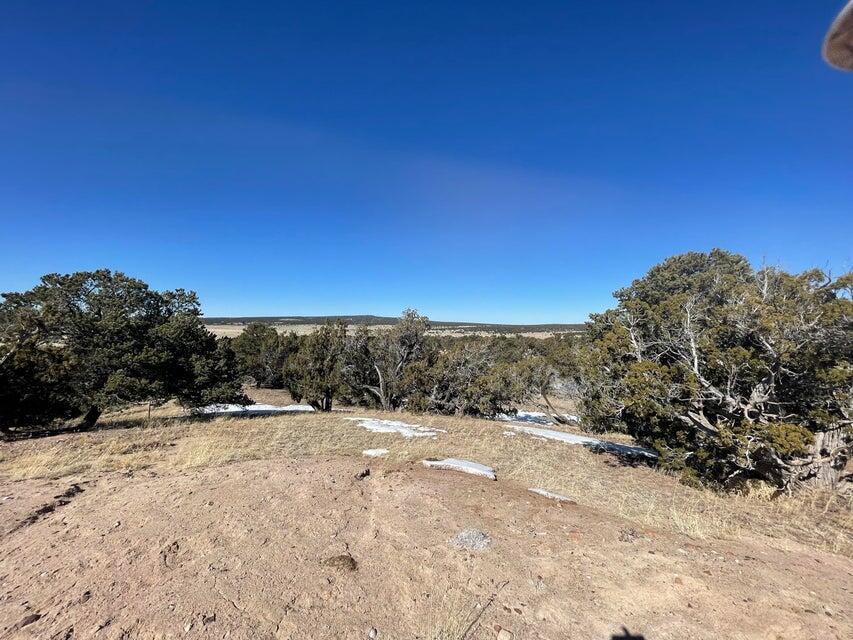 319 Hwy 603, Pie Town, New Mexico image 8