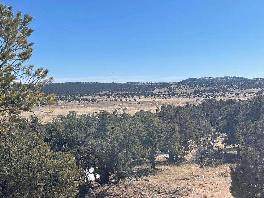 319 Hwy 603, Pie Town, New Mexico image 3