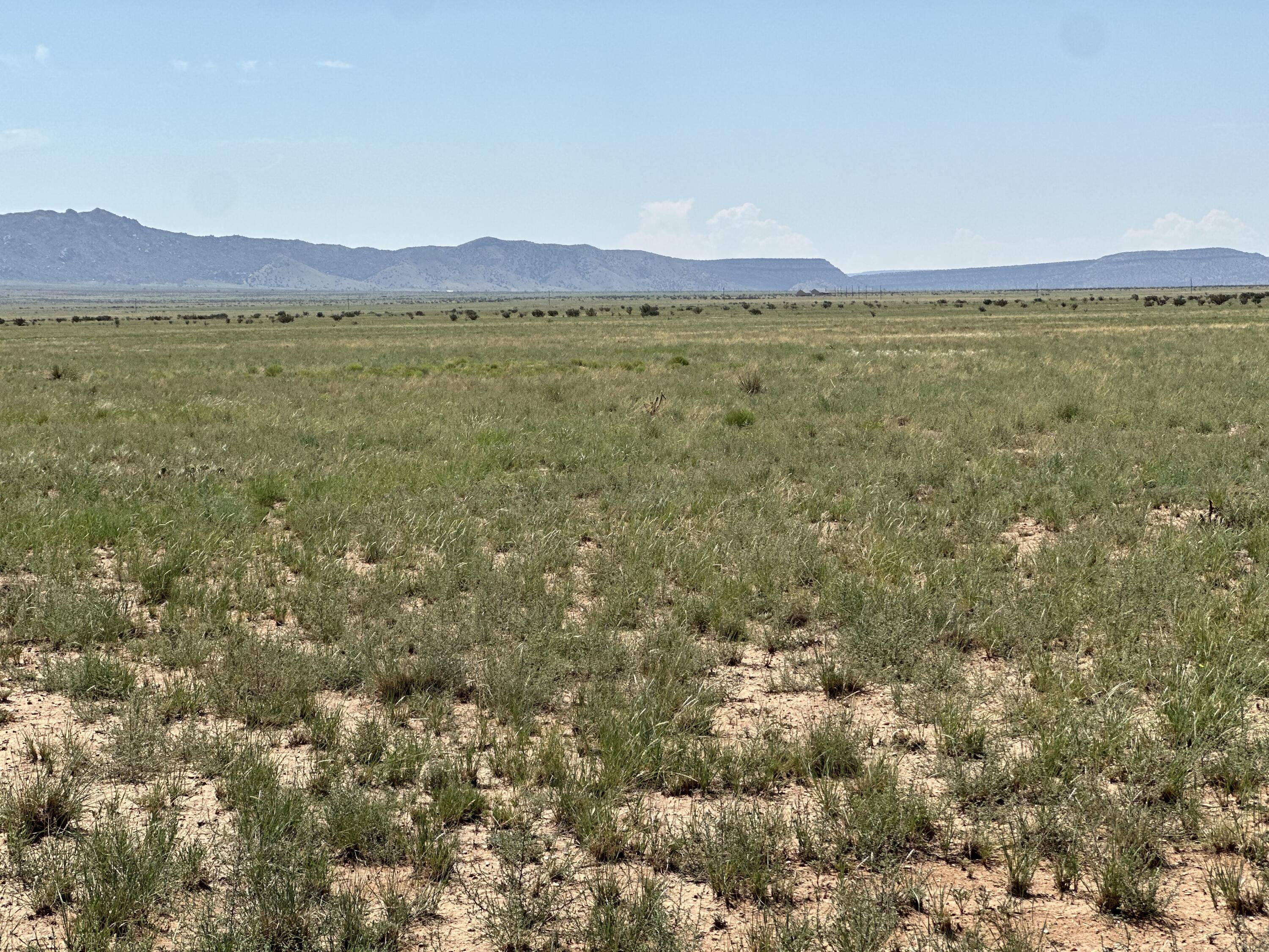 Lot 5 Military Highway, Belen, New Mexico image 7