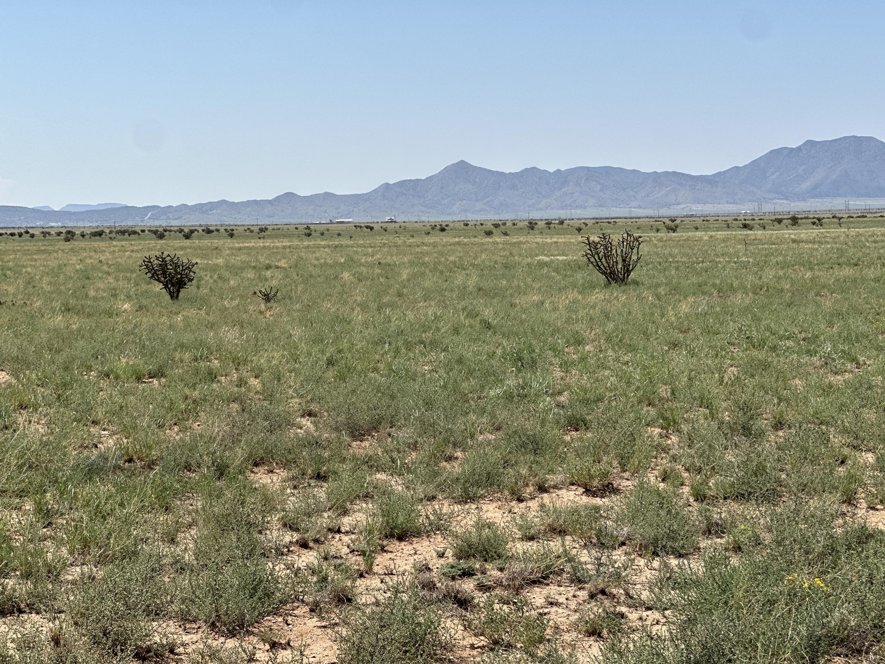 Lot 5 Military Highway, Belen, New Mexico image 8