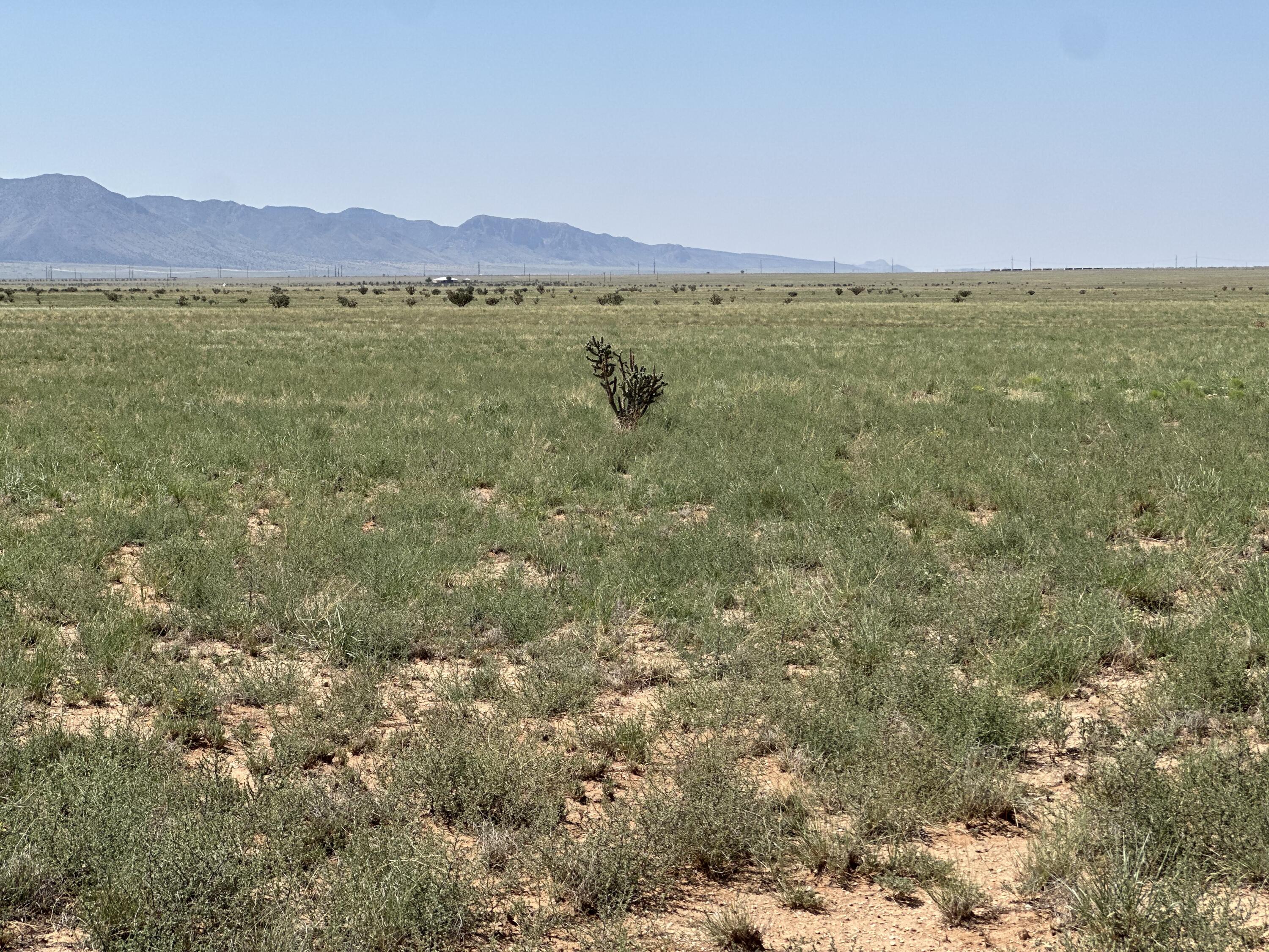 Lot 5 Military Highway, Belen, New Mexico image 9