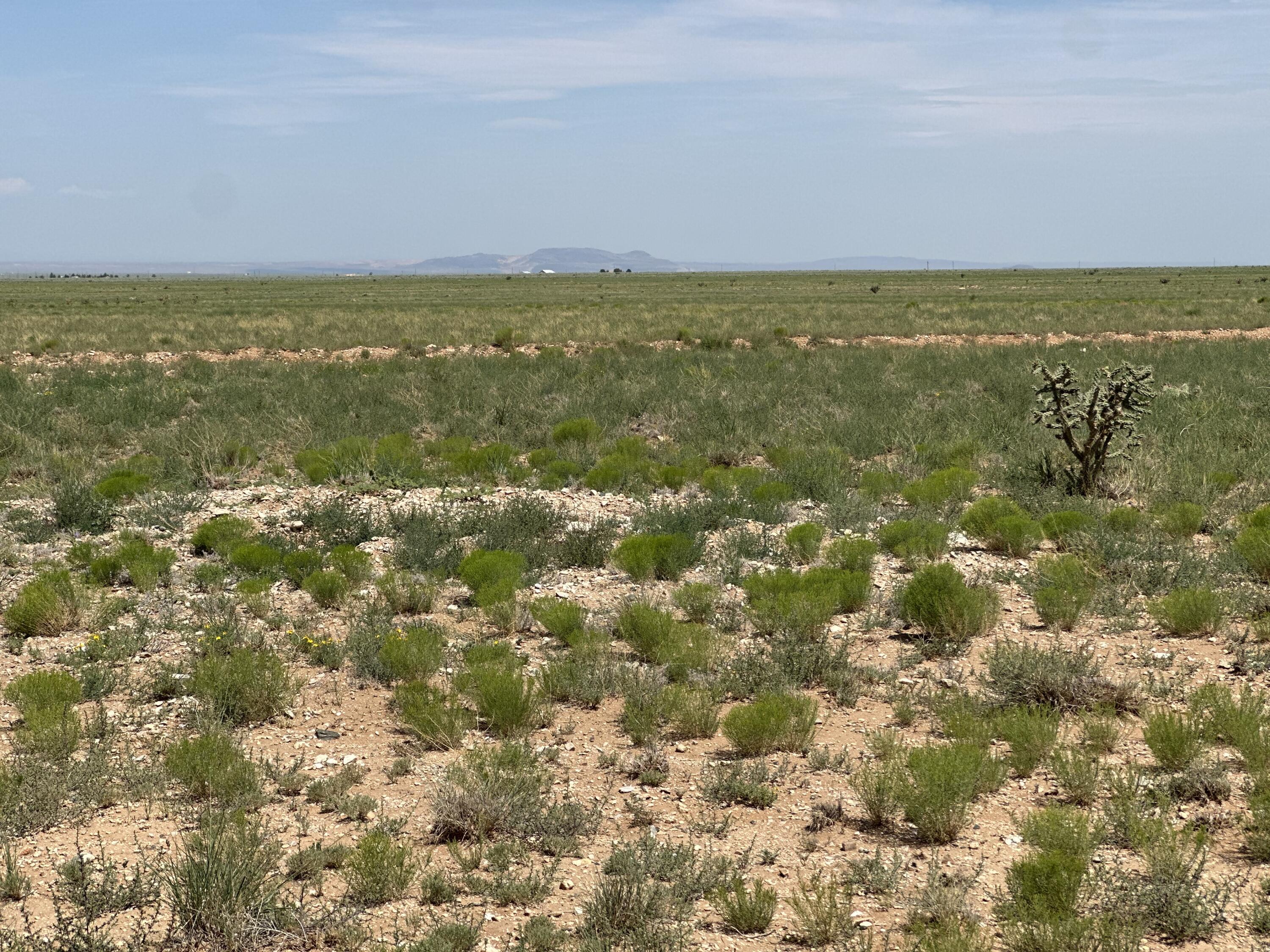 Lot 5 Military Highway, Belen, New Mexico image 18