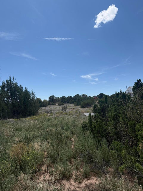 Vacant Land For Sale - 18 Entranosa Lane<br/> Bernalillo County, Edgewood, NM 87015