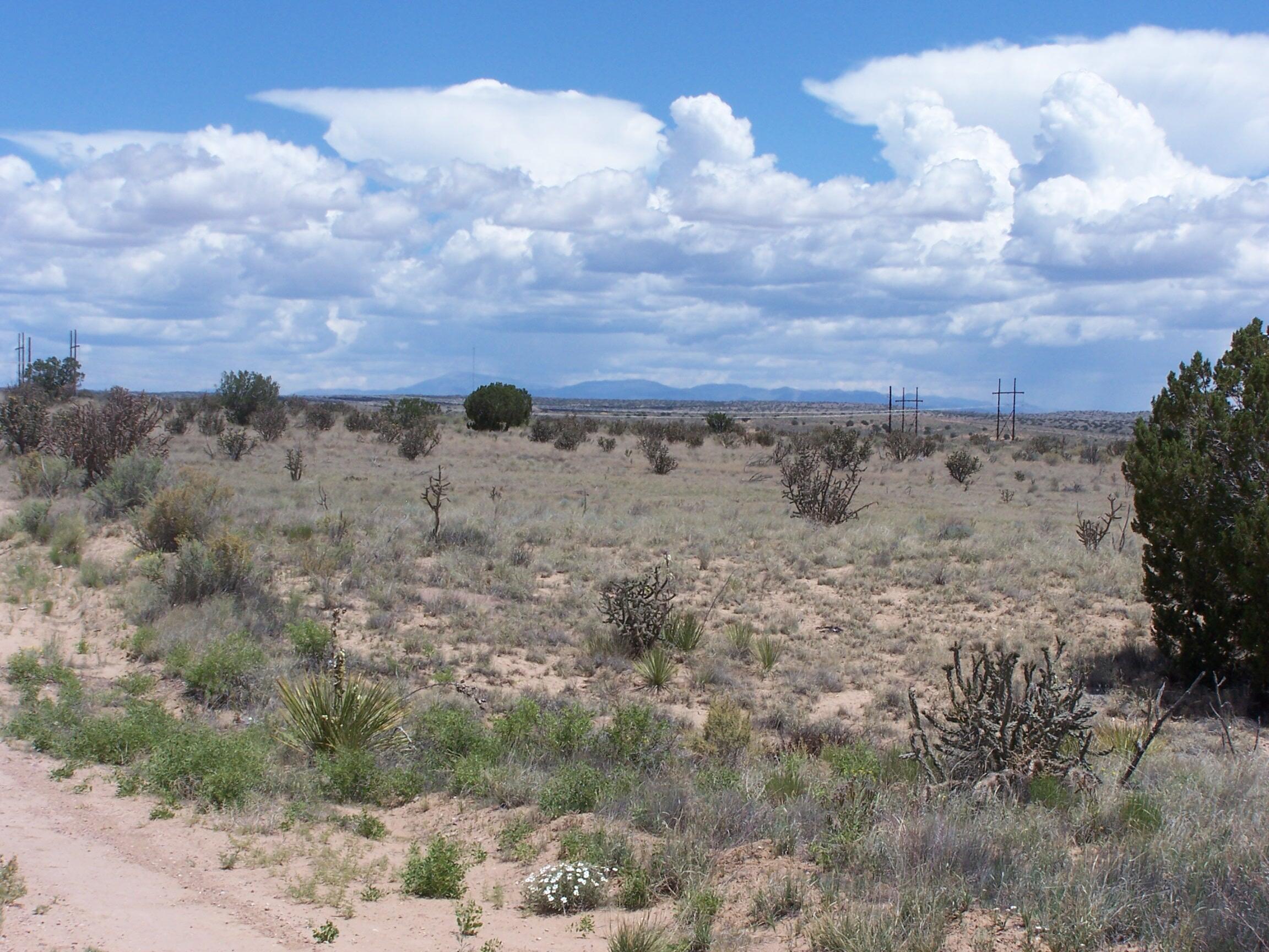 11th St/king Blvd. Street, Rio Rancho, New Mexico image 2