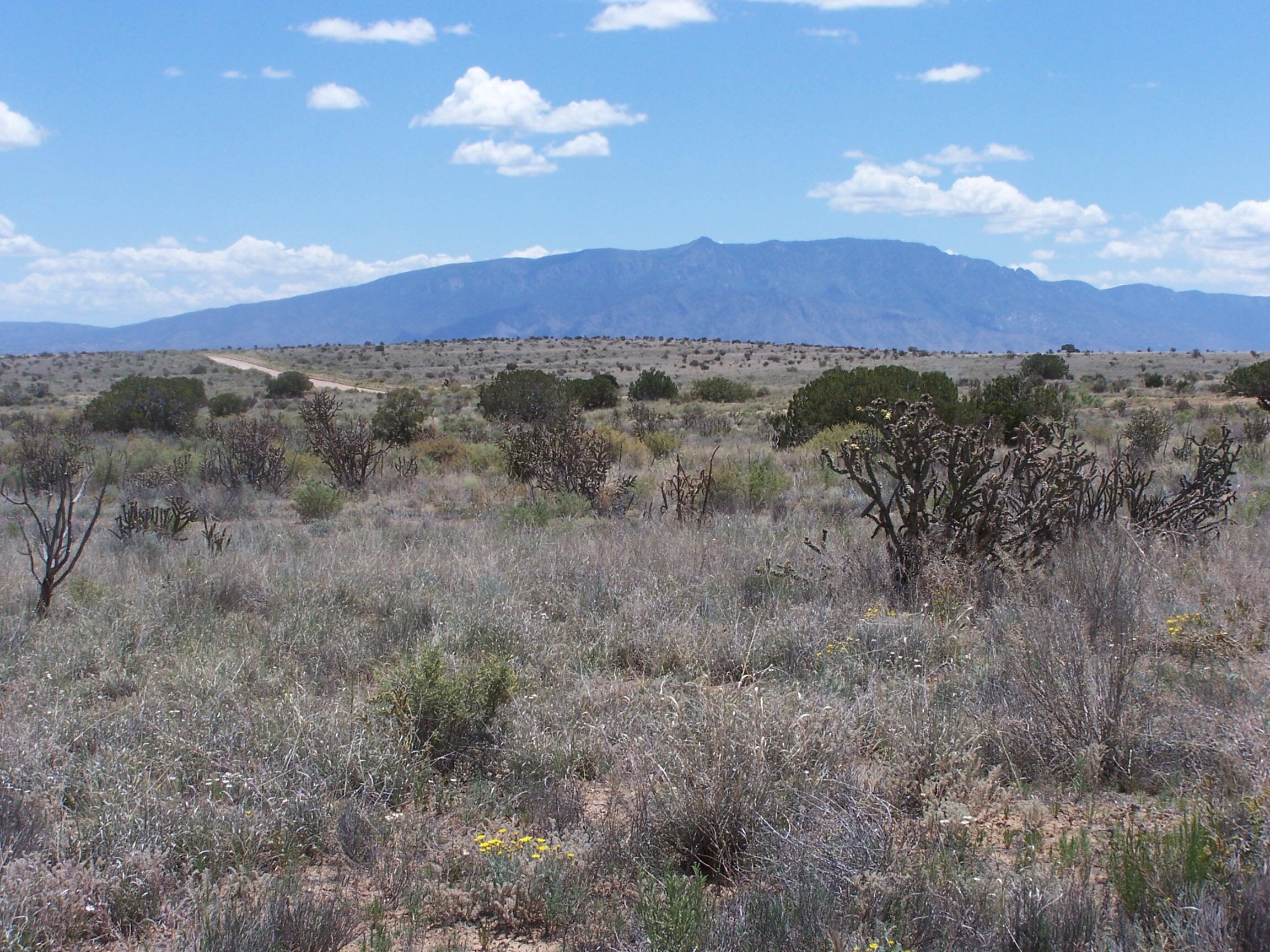 11th St/king Blvd. Street, Rio Rancho, New Mexico image 1