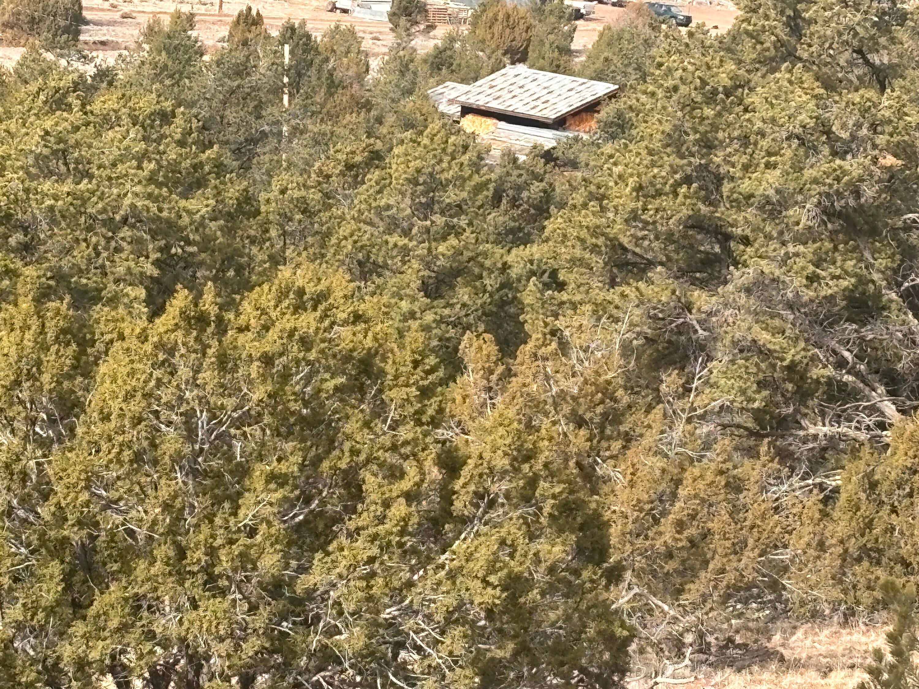 227 Tee Pee Trail