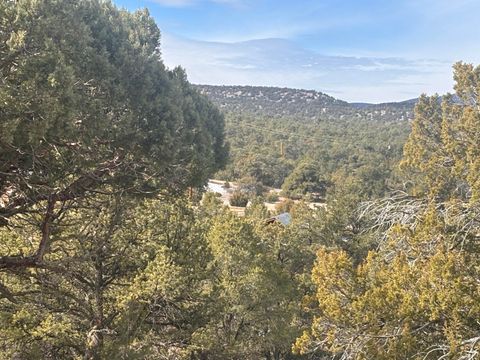 Vacant Land For Sale - 227 Tee Pee Trail<br/> Datil, NM 87821