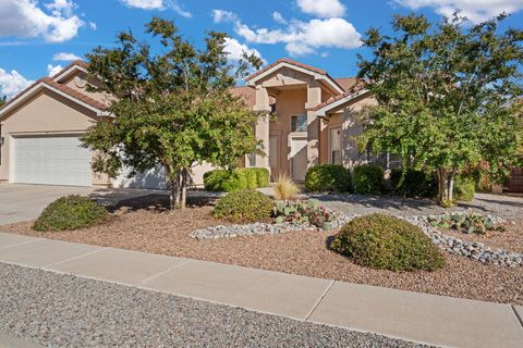 Photo of 2320 ARROYO FALLS Street NW, Albuquerque, NM 87120 (MLS # 1092484)