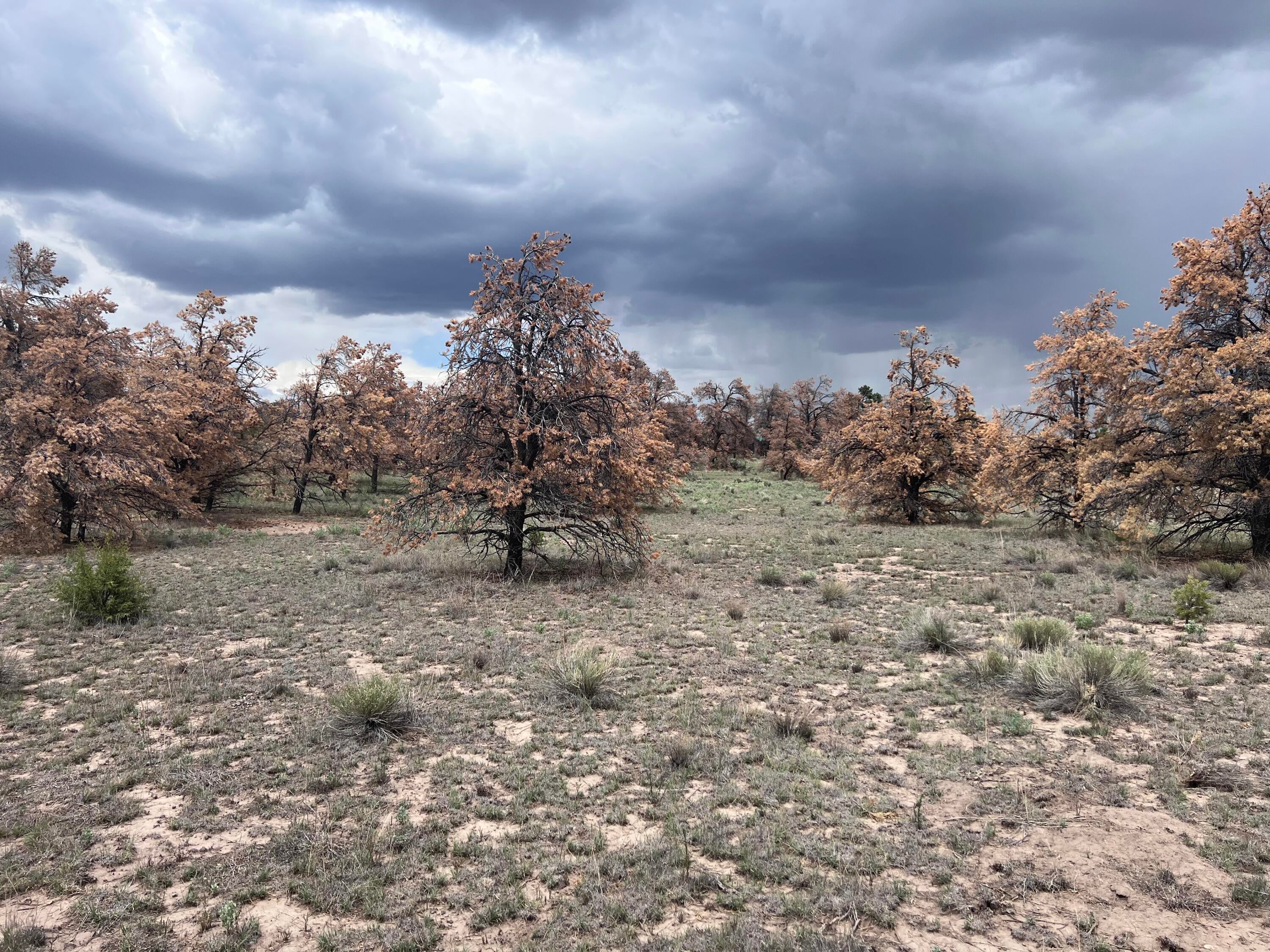 LOT 57 FOUNTAIN HILLS RD