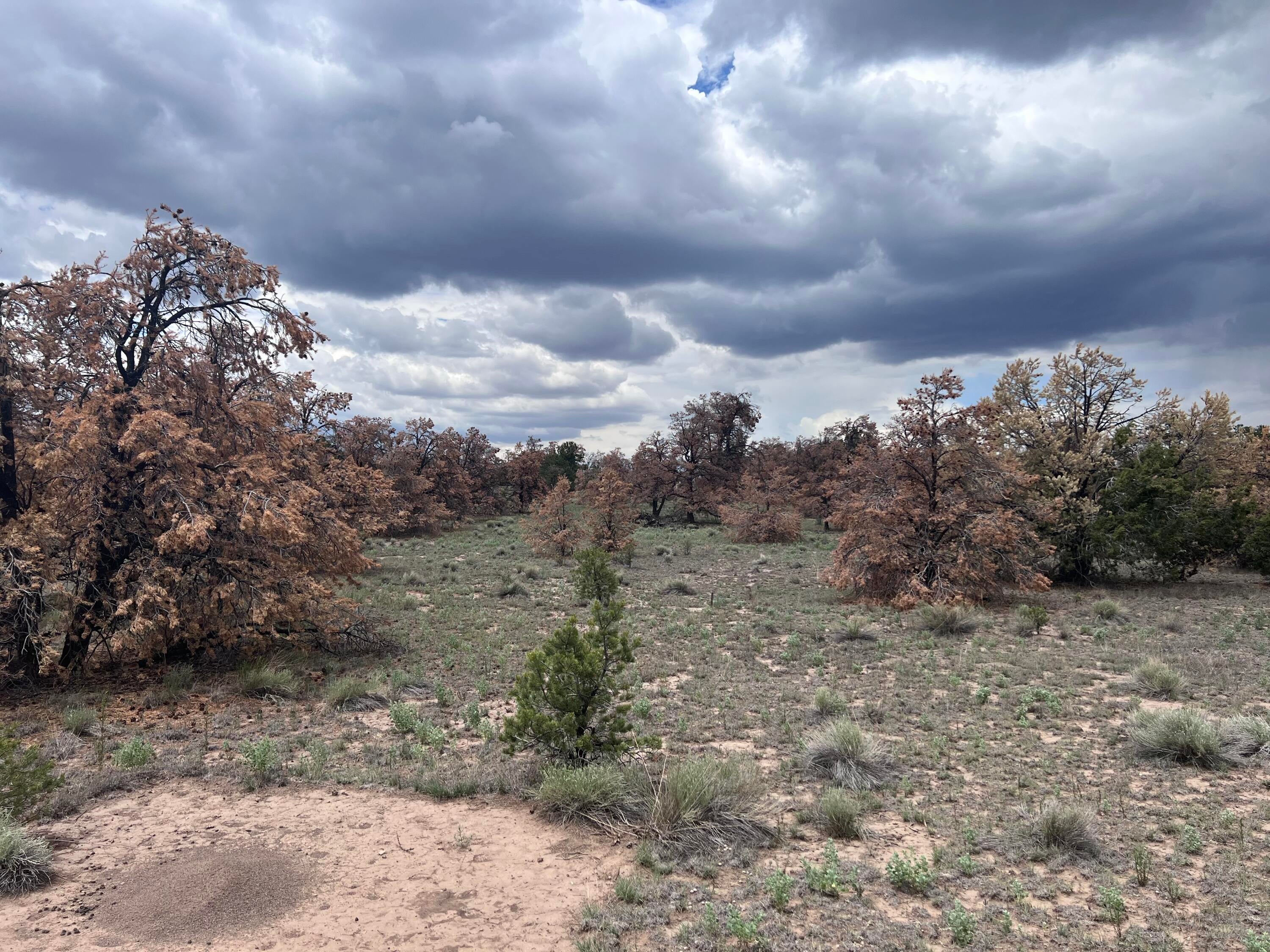 LOT 57 FOUNTAIN HILLS RD