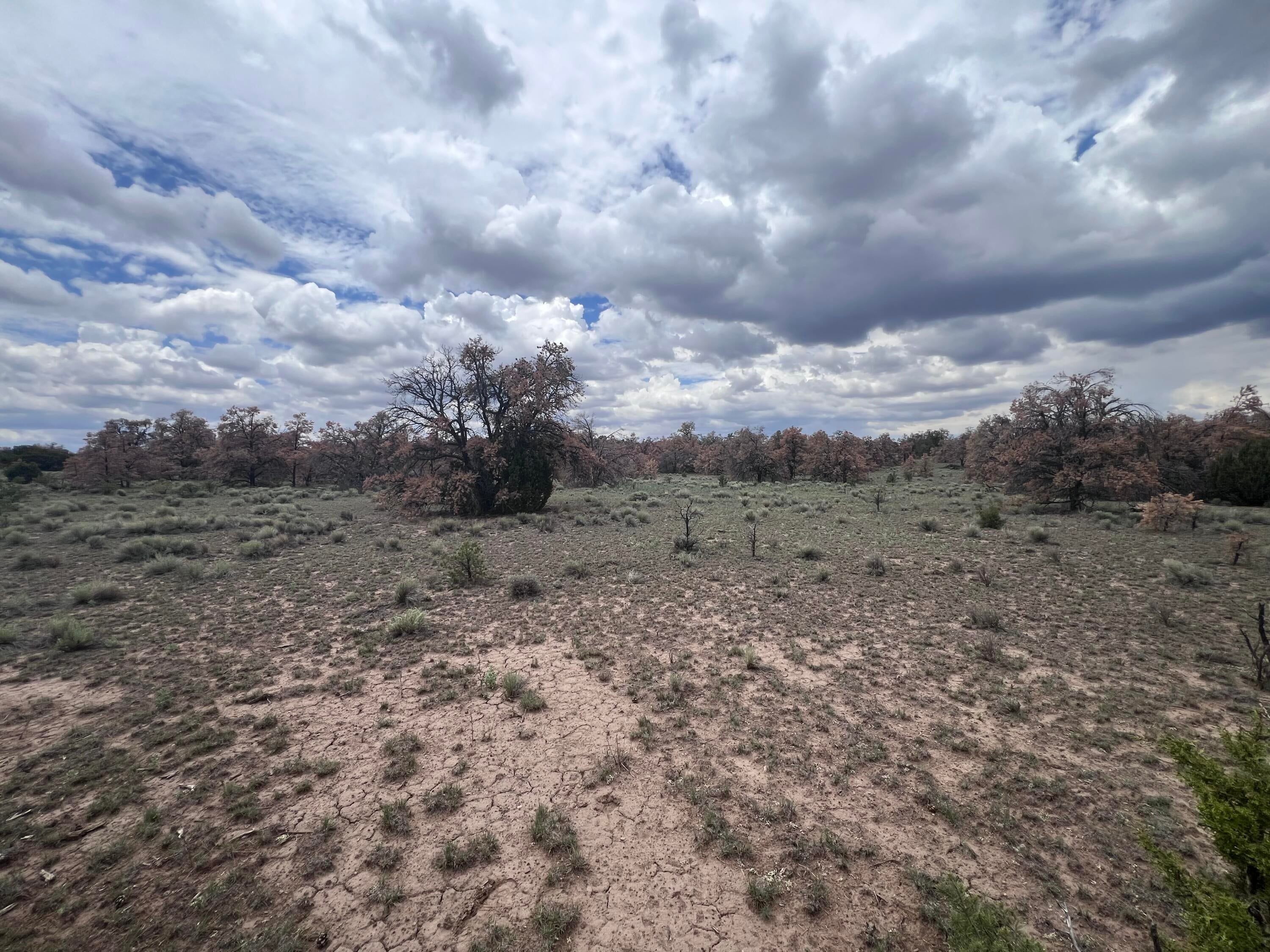 LOT 57 FOUNTAIN HILLS RD