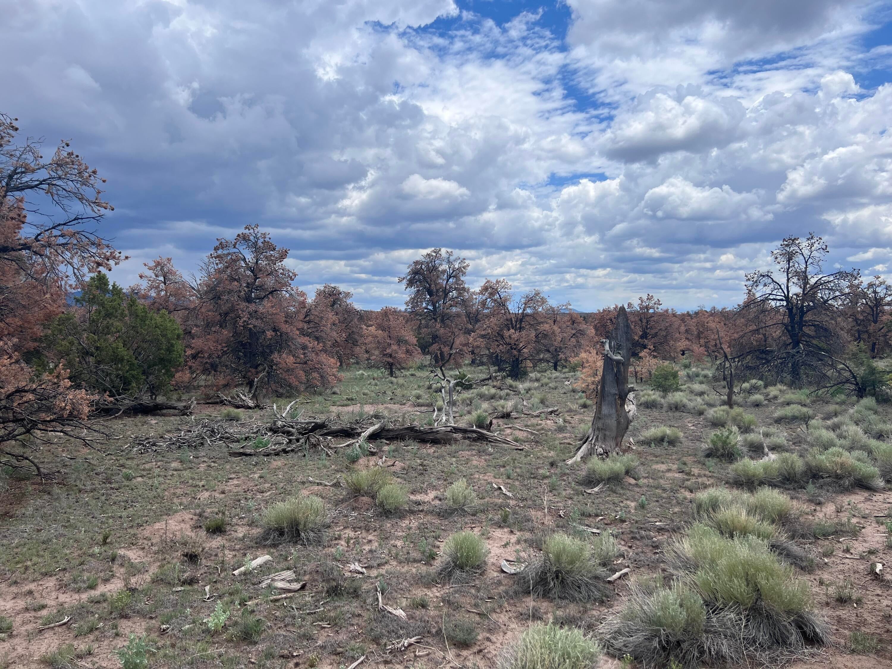 LOT 57 FOUNTAIN HILLS RD