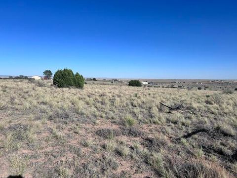 Vacant Land For Sale - N Weimer Road<br/> Santa Fe County, Edgewood, NM 87015