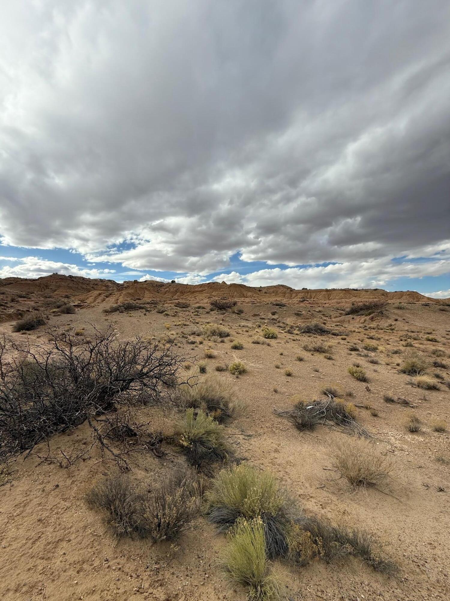 Erica Lane, Belen, New Mexico image 3