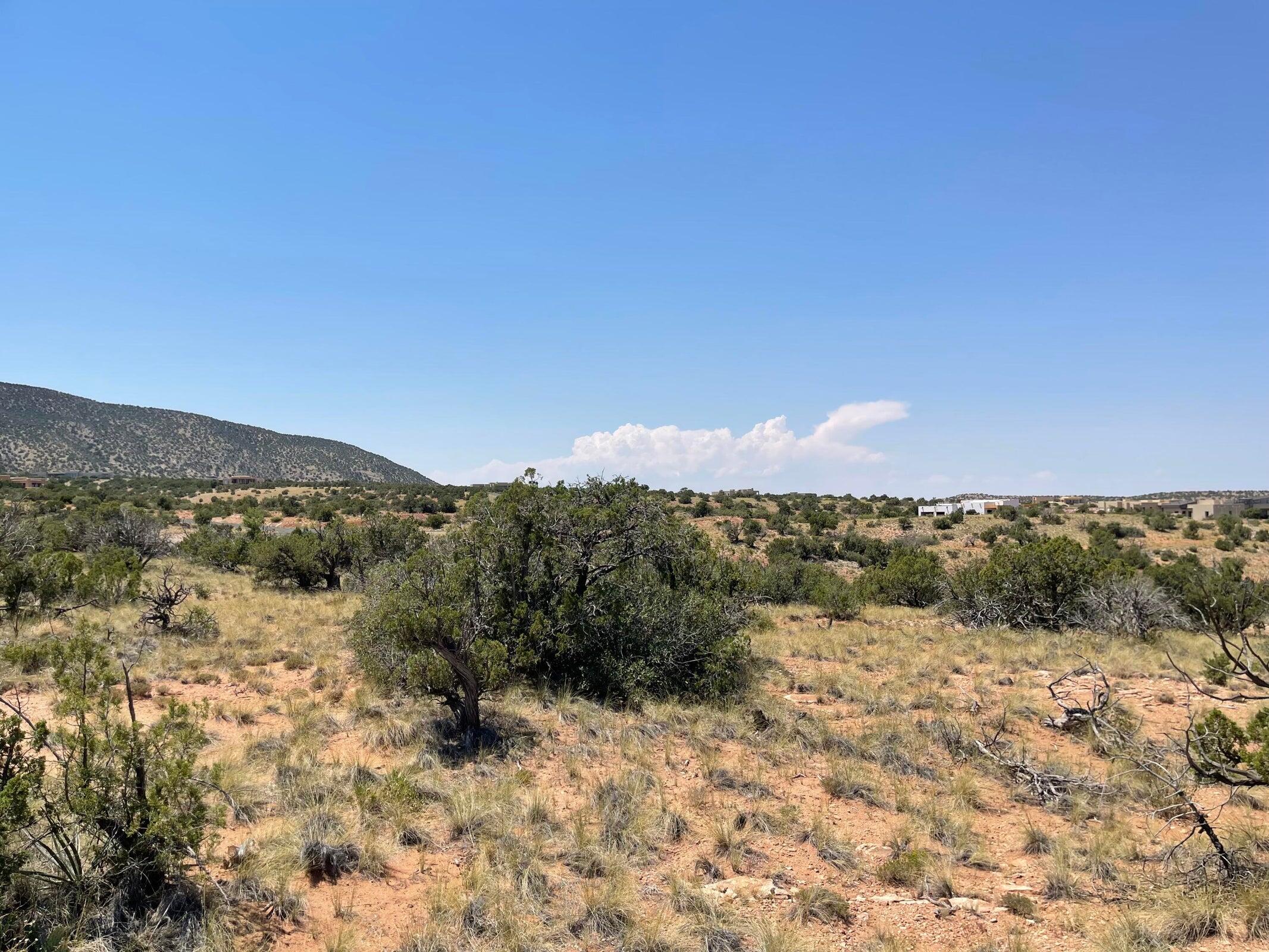 239 Moonlight Ridge Road Lot 101