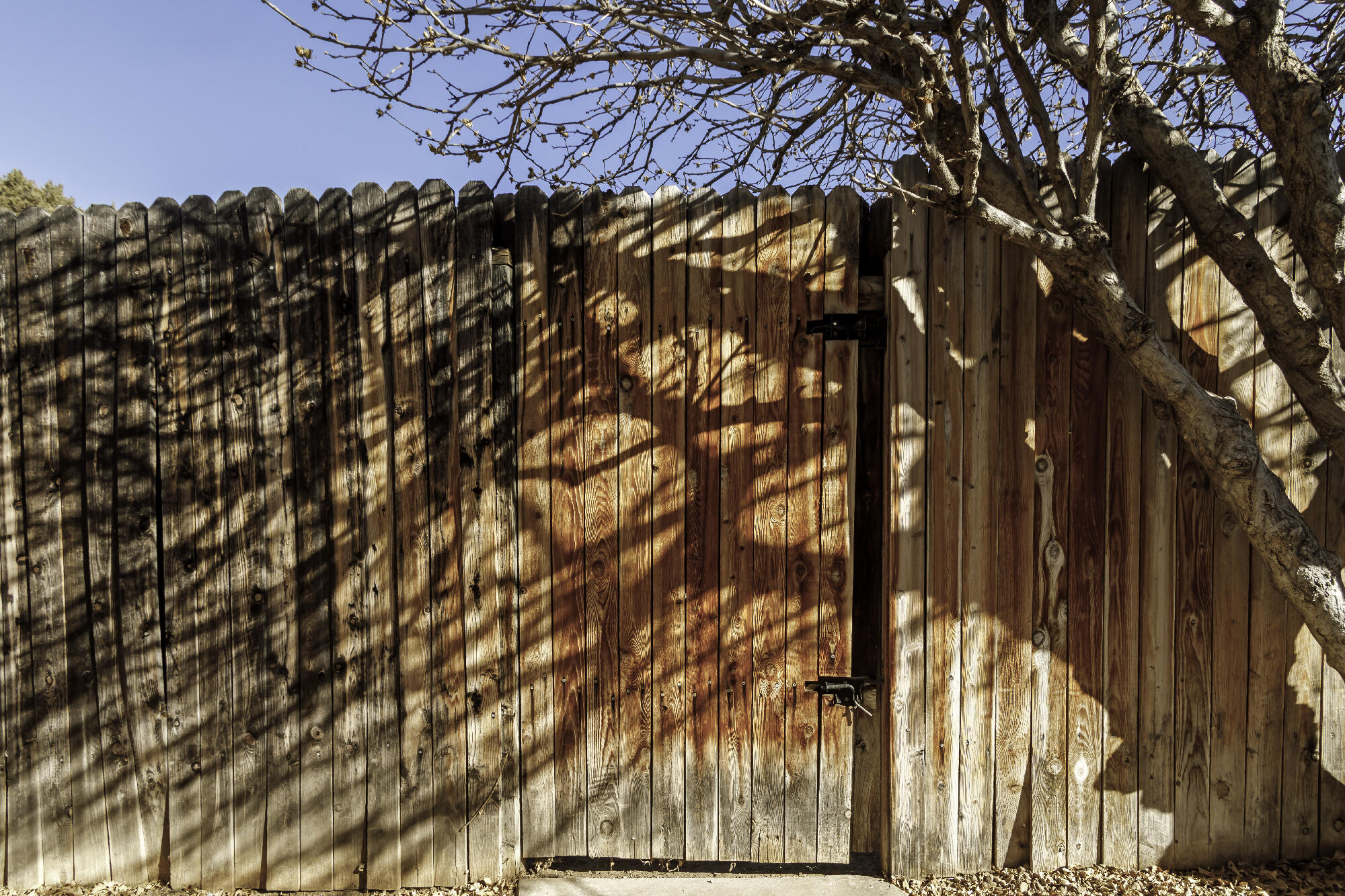 6023 Del Campo Place, Albuquerque, New Mexico image 36