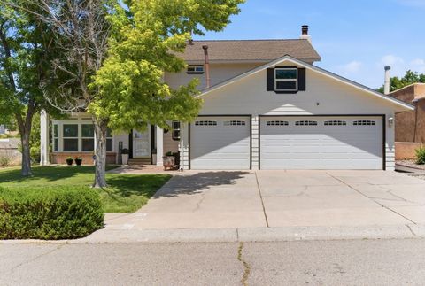 Homes For Sale - 9601 Villa Del Rey<br/> Bernalillo County, Albuquerque, NM 87111