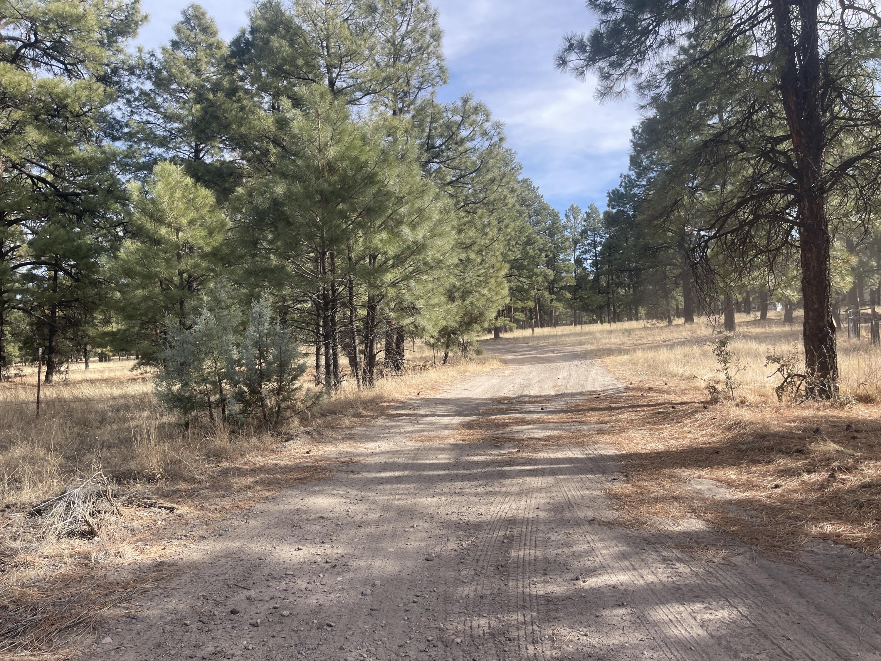 98 Elk Springs Loop, Datil, New Mexico image 25