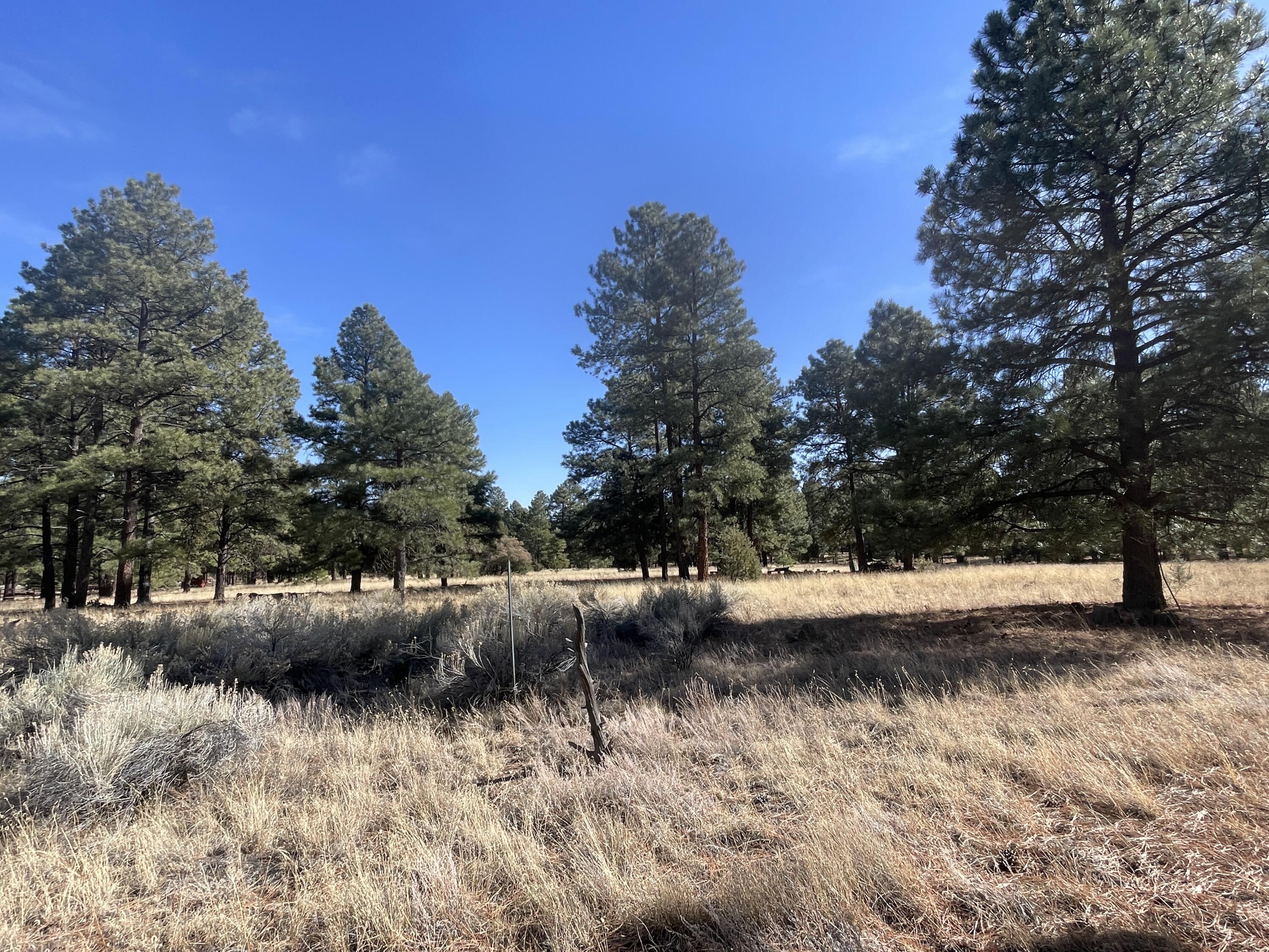 98 Elk Springs Loop, Datil, New Mexico image 21