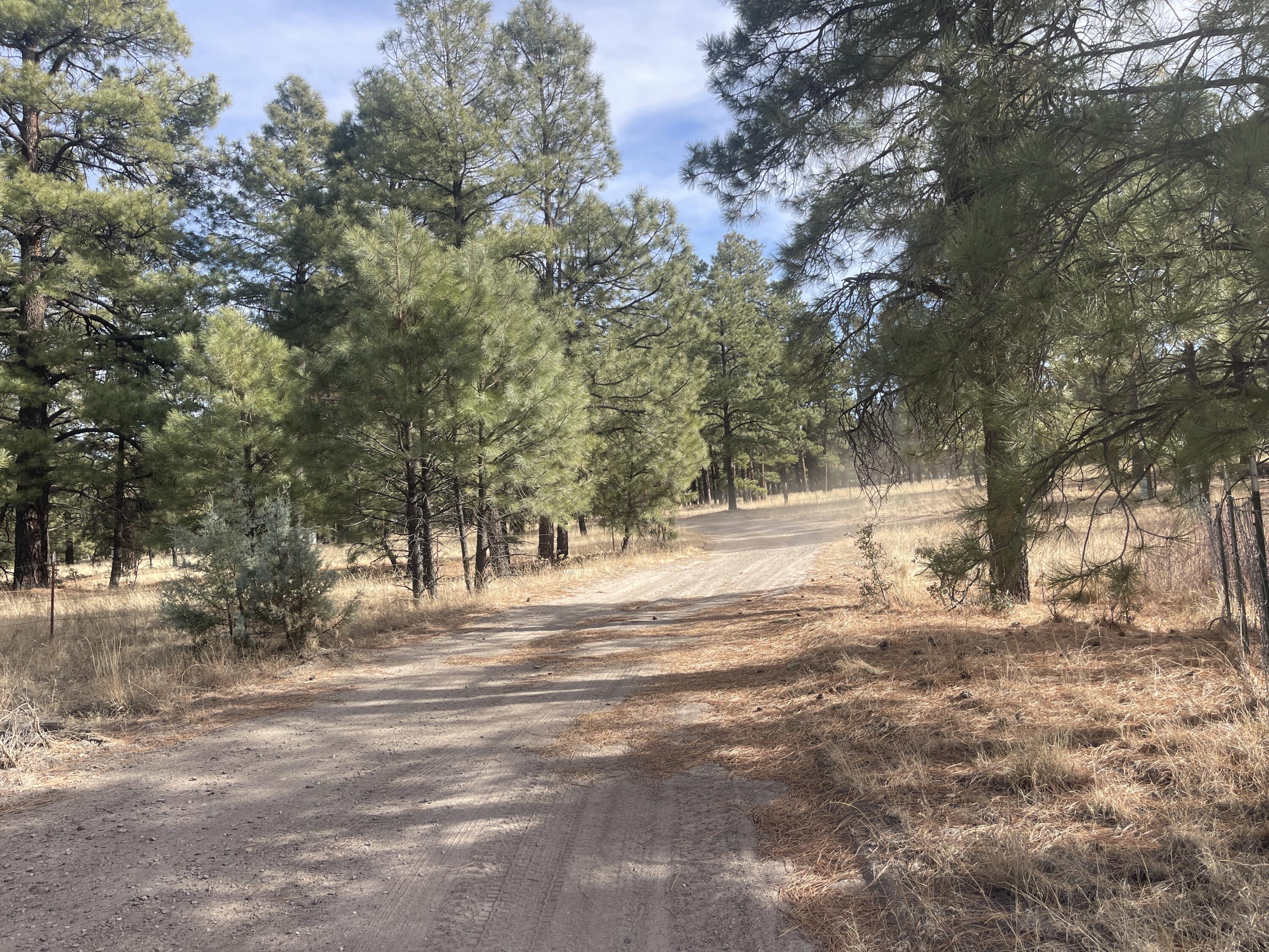 98 Elk Springs Loop, Datil, New Mexico image 26