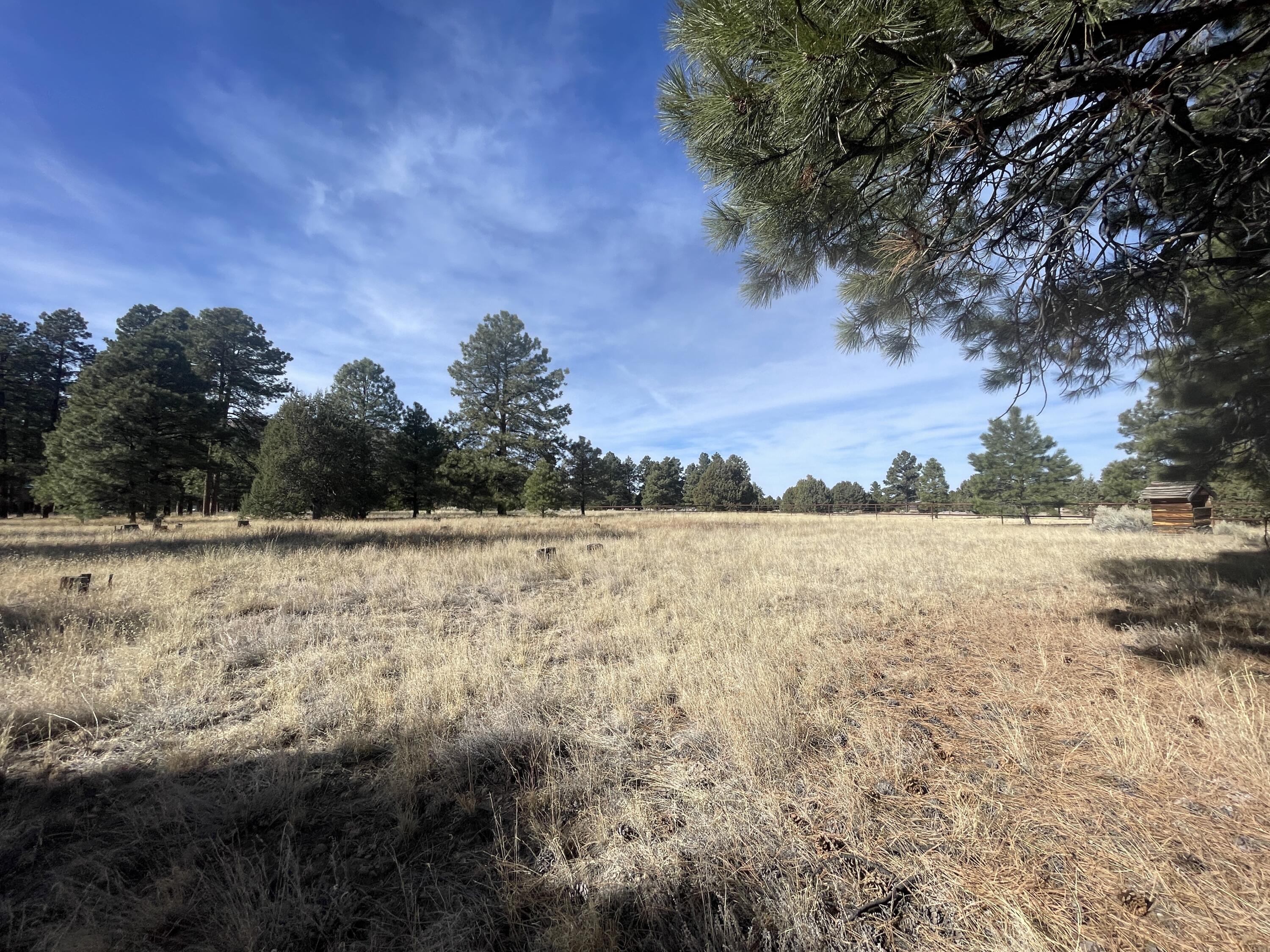 98 Elk Springs Loop, Datil, New Mexico image 20