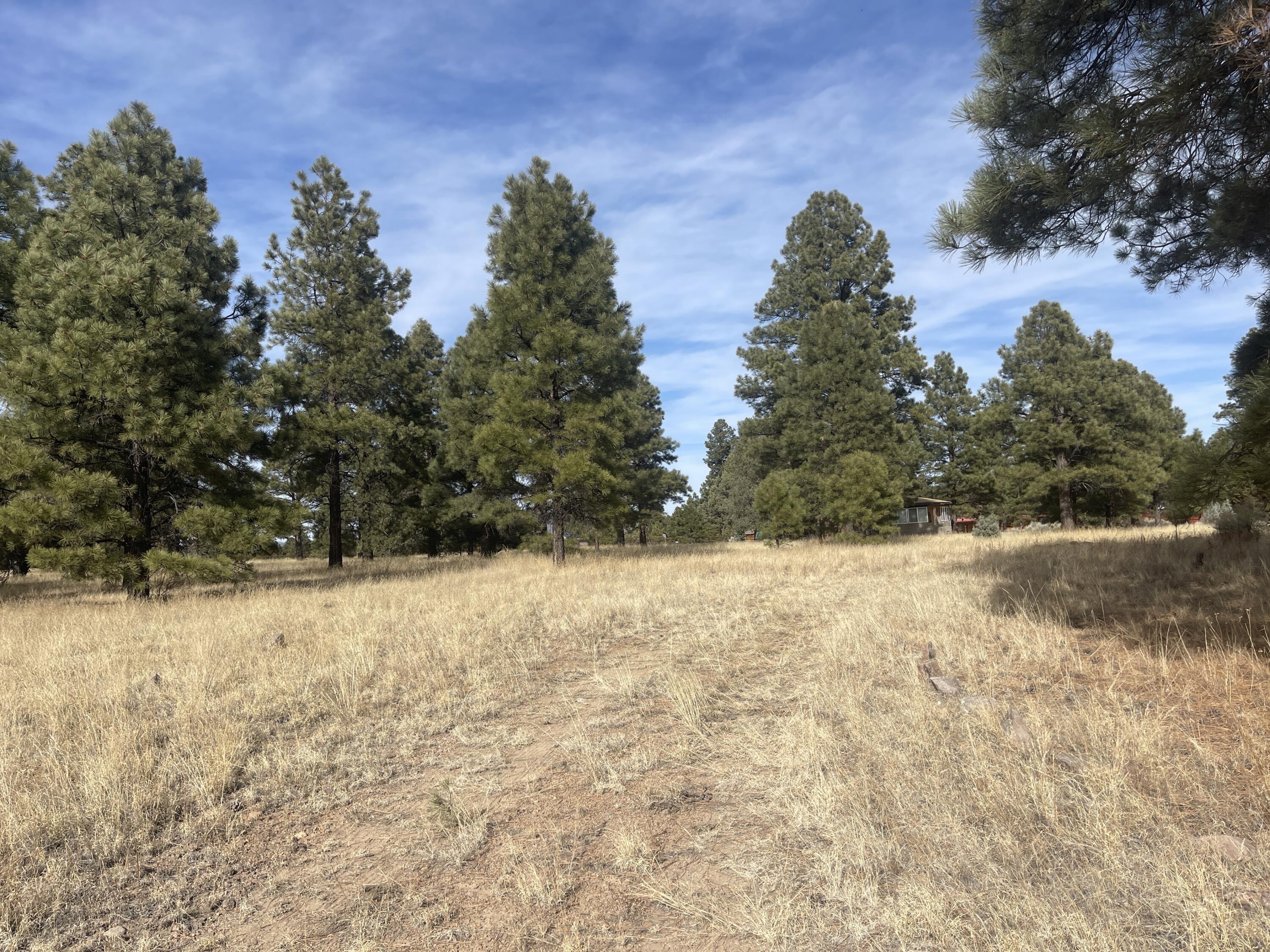 98 Elk Springs Loop, Datil, New Mexico image 4