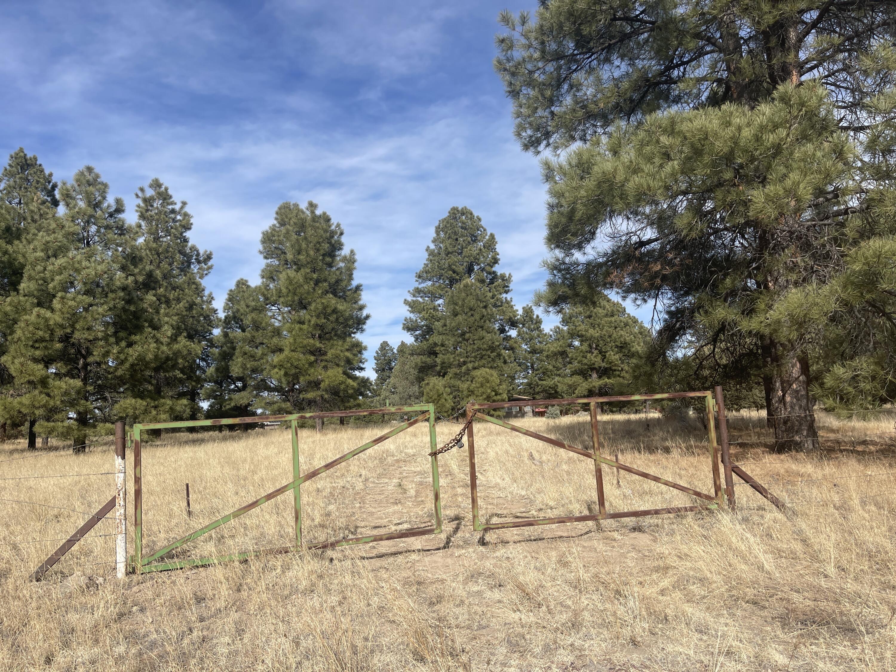 98 Elk Springs Loop, Datil, New Mexico image 3