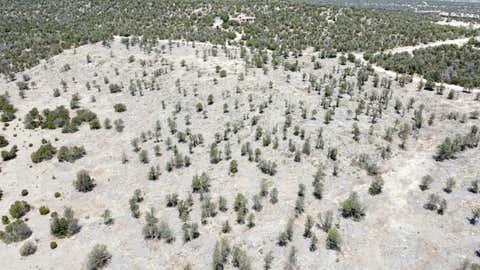 Vacant Land For Sale - Twin Peaks Court Lot 16<br/> Torrance County, Estancia, NM 87016