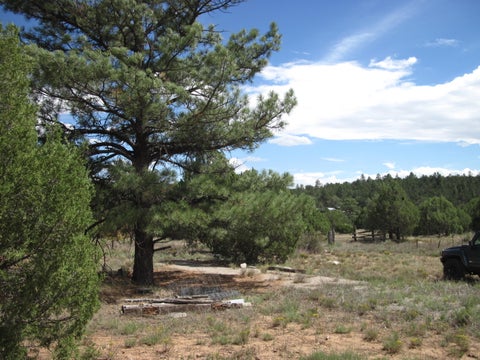 Vacant Land For Sale - 403 Juan Tomas Road<br/> Tijeras, NM 87059