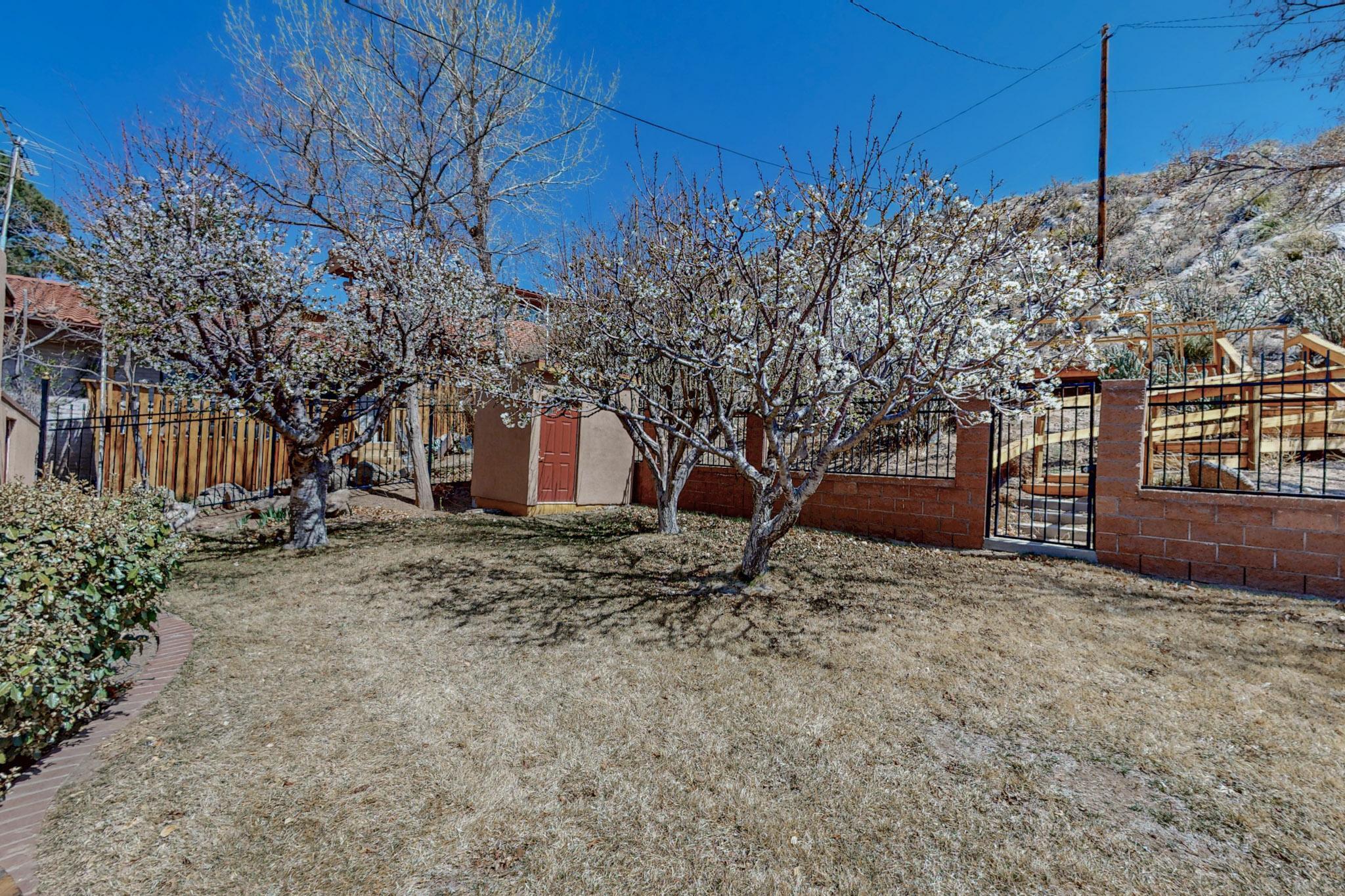 500 Oakwood Place, Albuquerque, New Mexico image 38