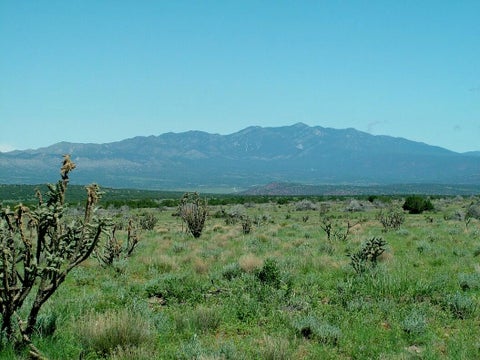 Vacant Land For Sale - 1008 Chupadero Road<br/> Mountainair, NM 87036
