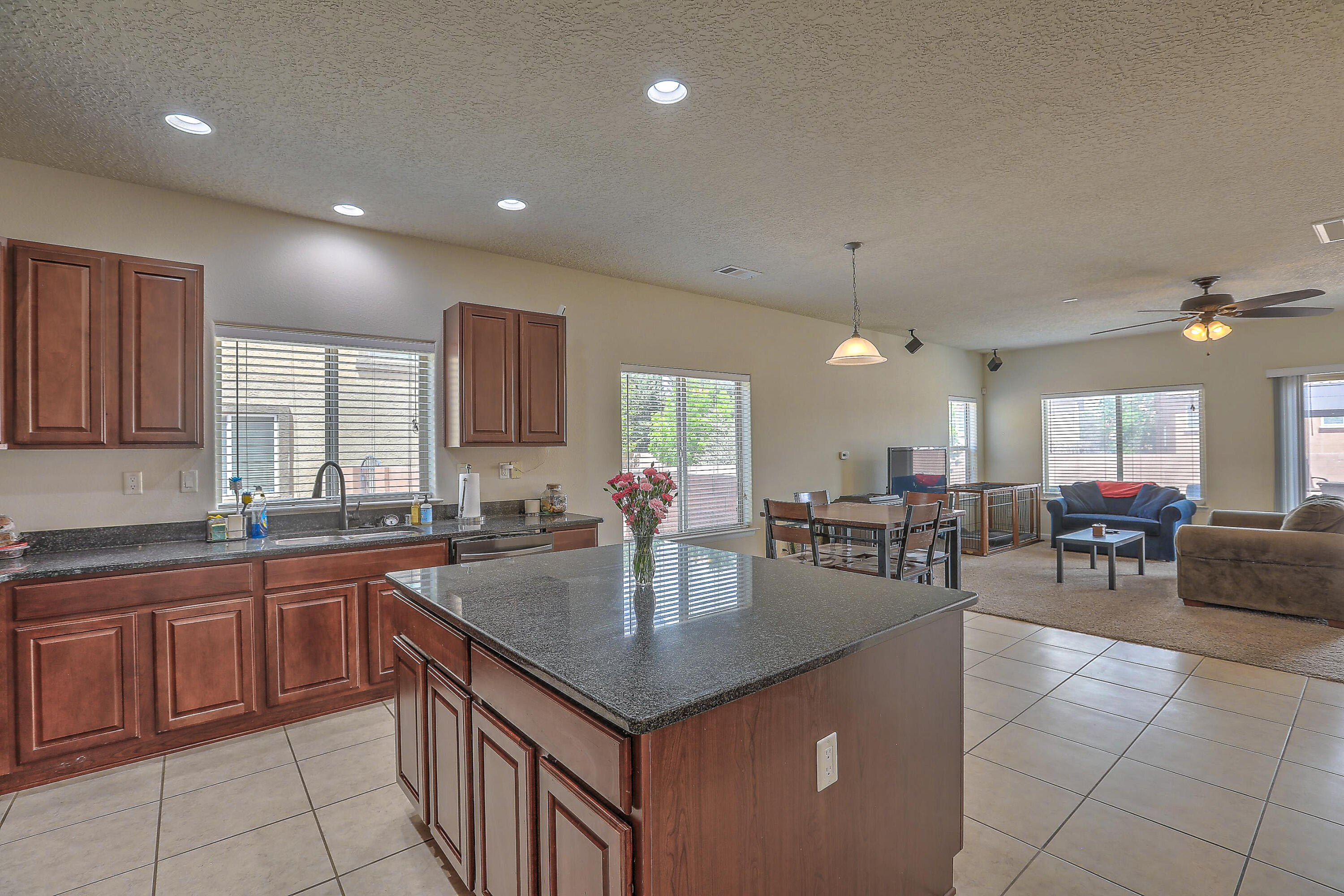 3929 Las Colinas Avenue, Rio Rancho, New Mexico image 16