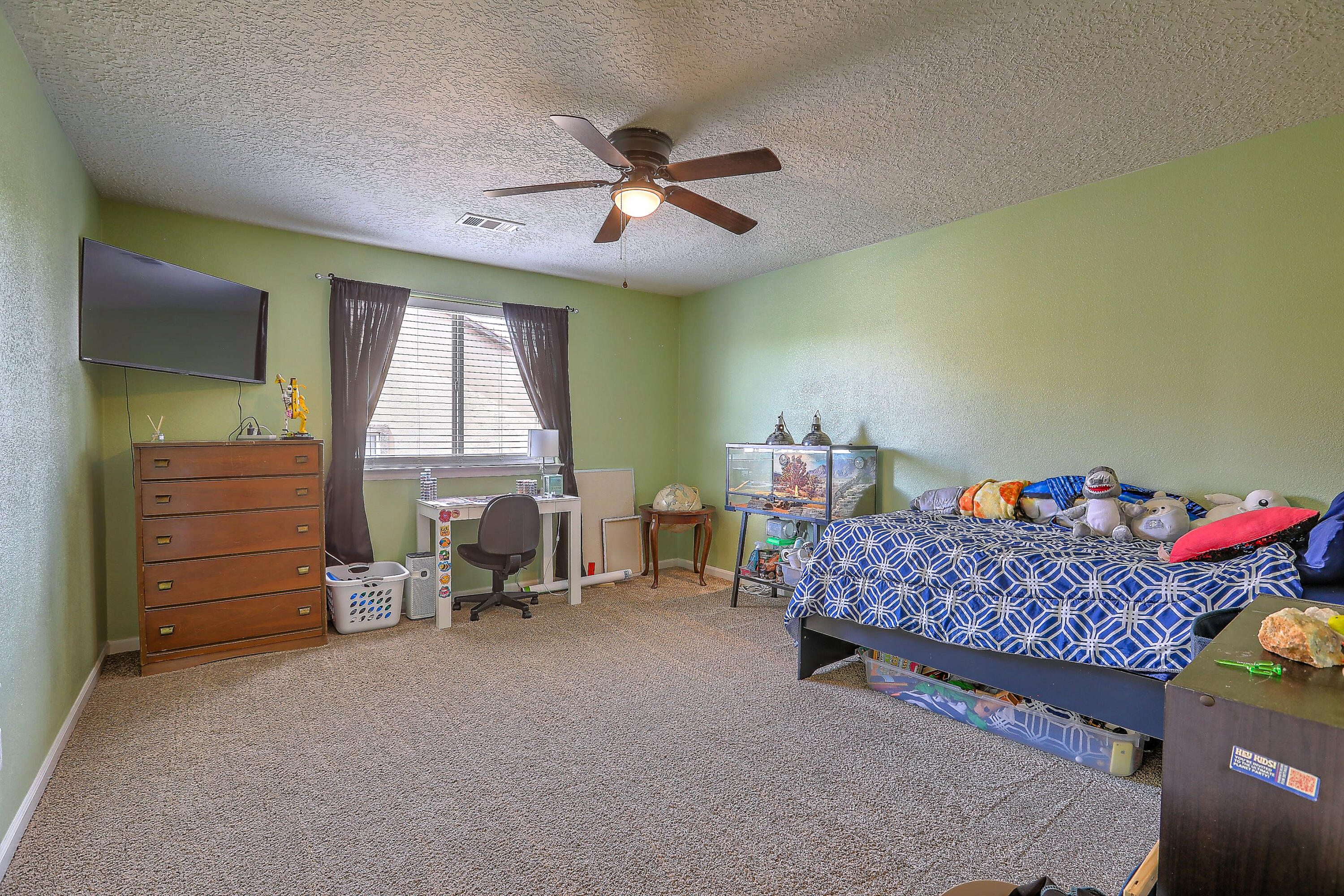 3929 Las Colinas Avenue, Rio Rancho, New Mexico image 40