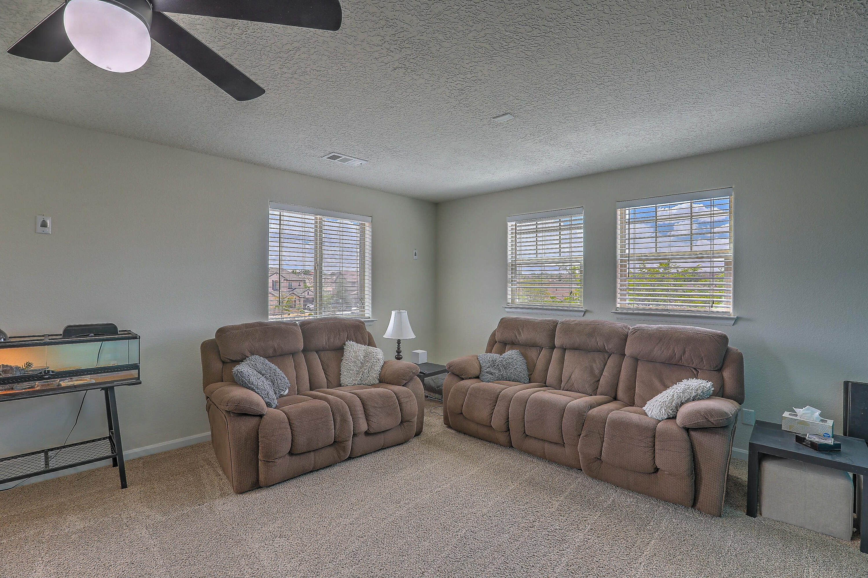 3929 Las Colinas Avenue, Rio Rancho, New Mexico image 29