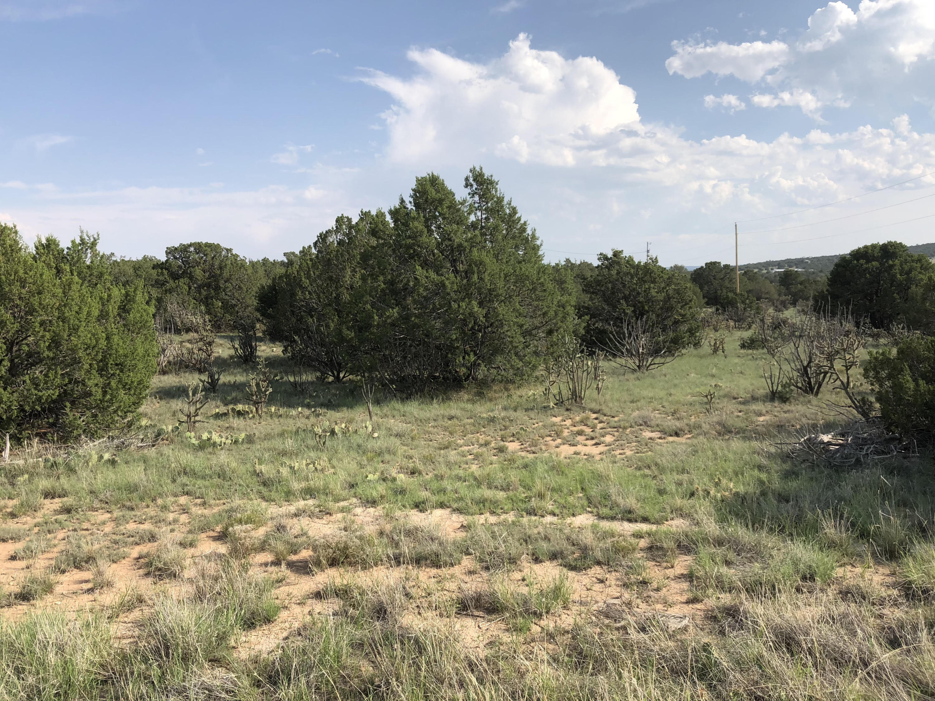 16 Quarter Moon Hill Road, Edgewood, New Mexico image 1